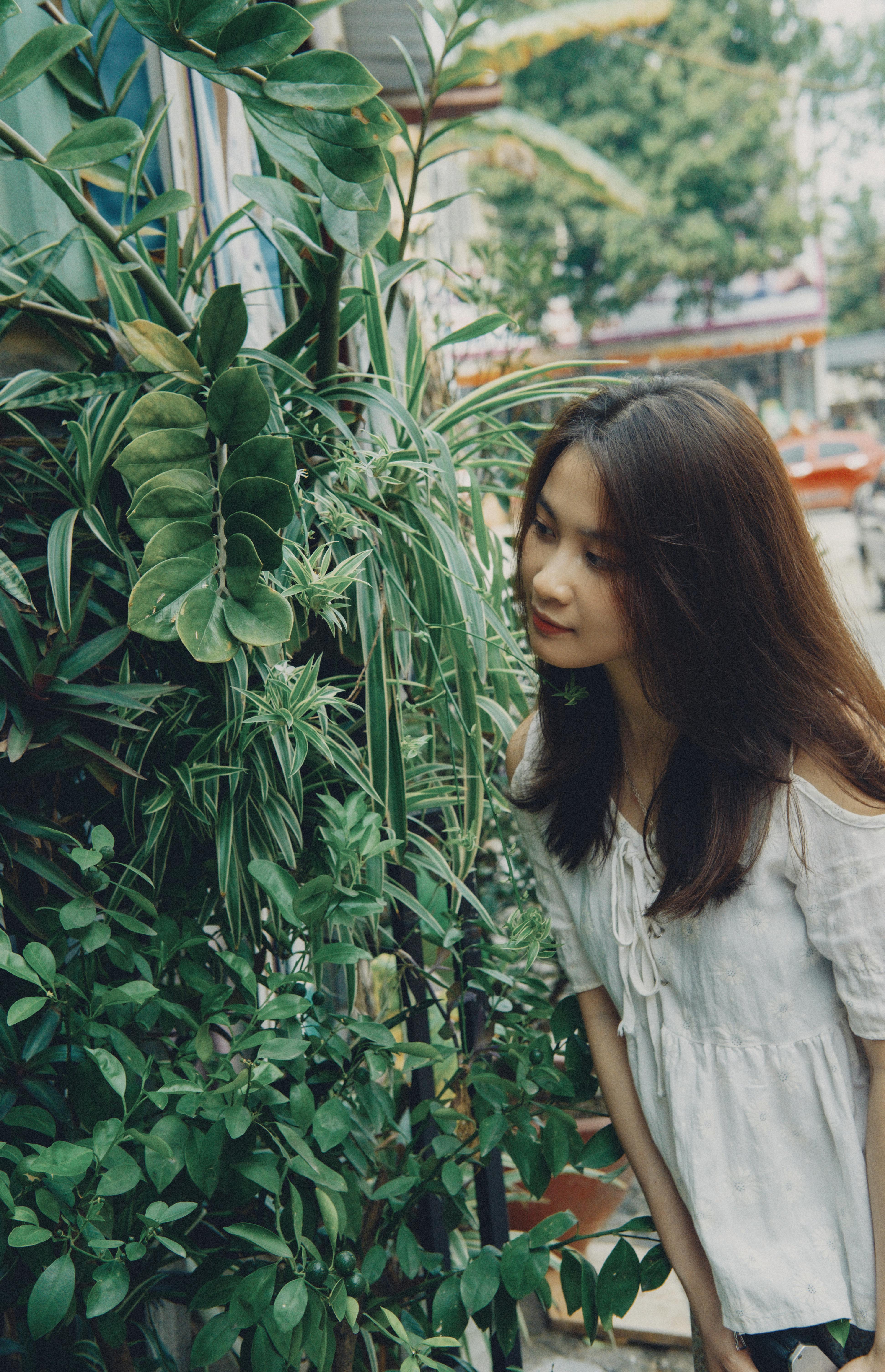 Forest & Flora