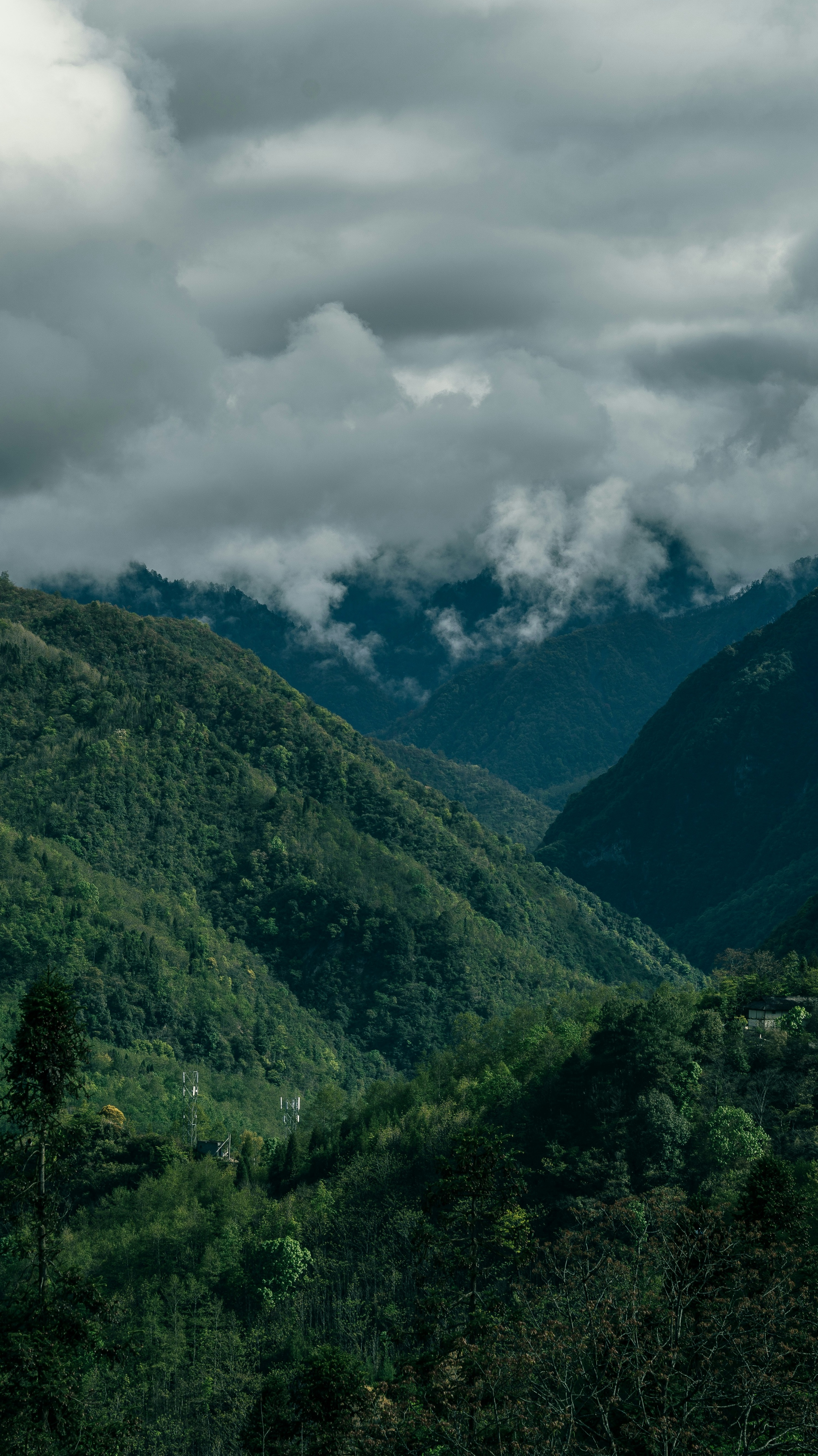 Landscapes
