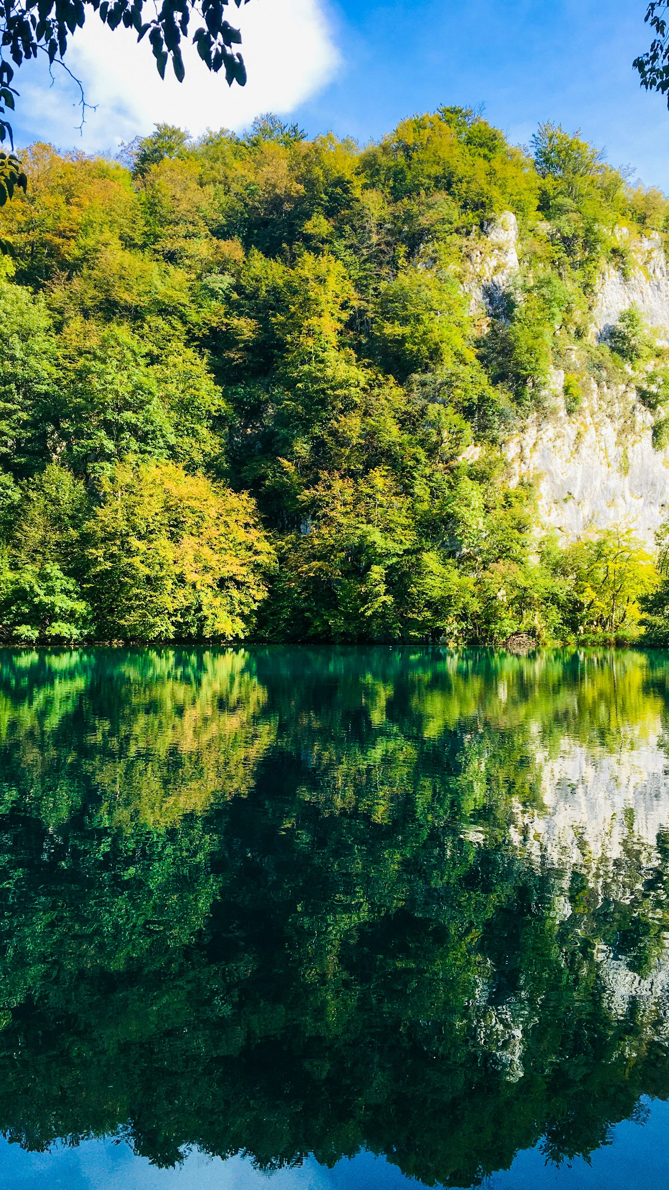 Landscapes