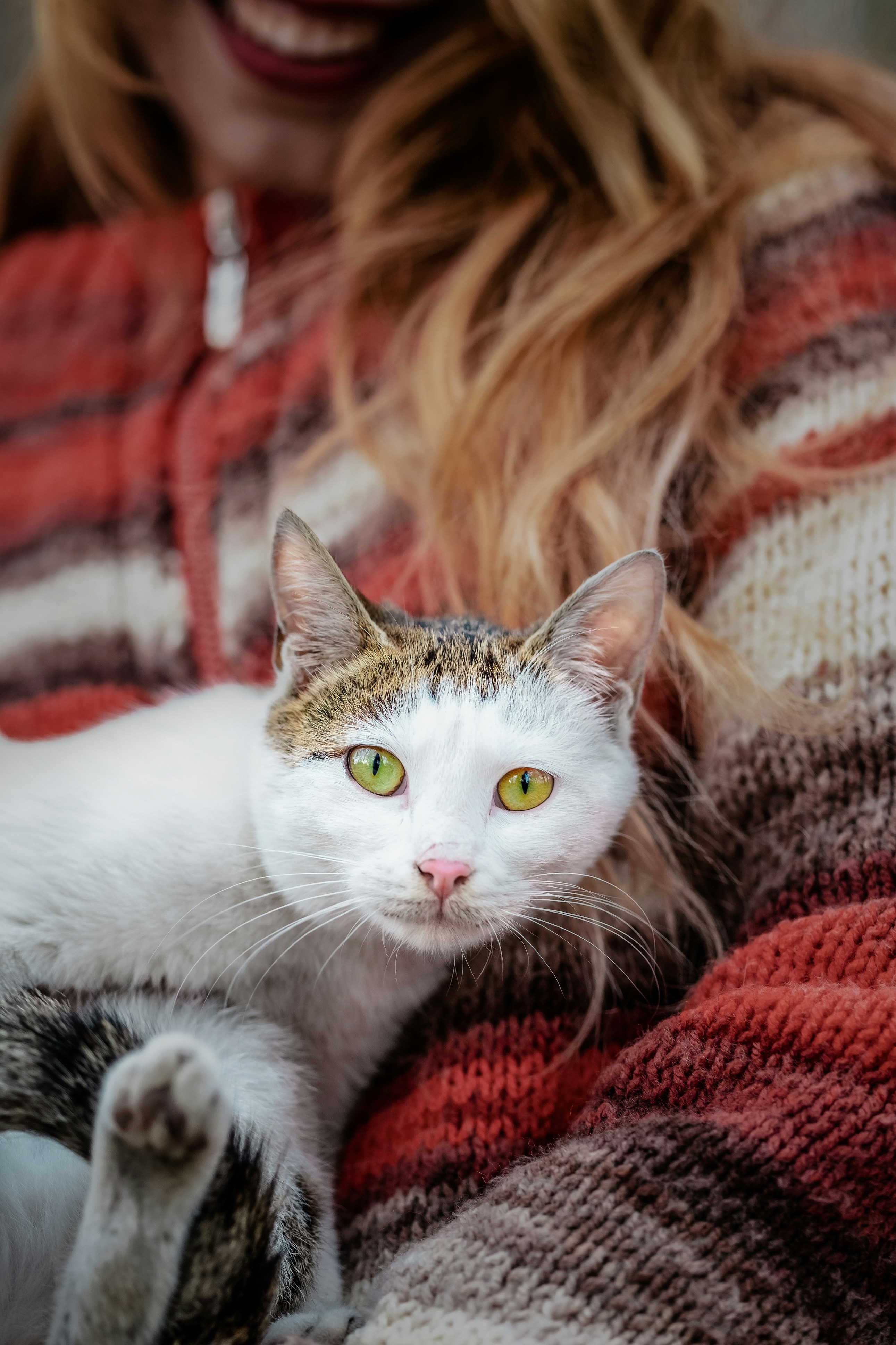 White Cat Resting on Person's Chest