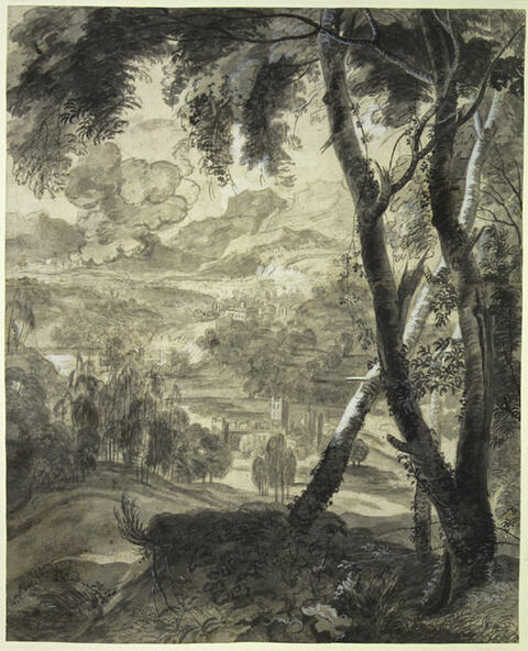 Wooded Landscape Ink Sketch