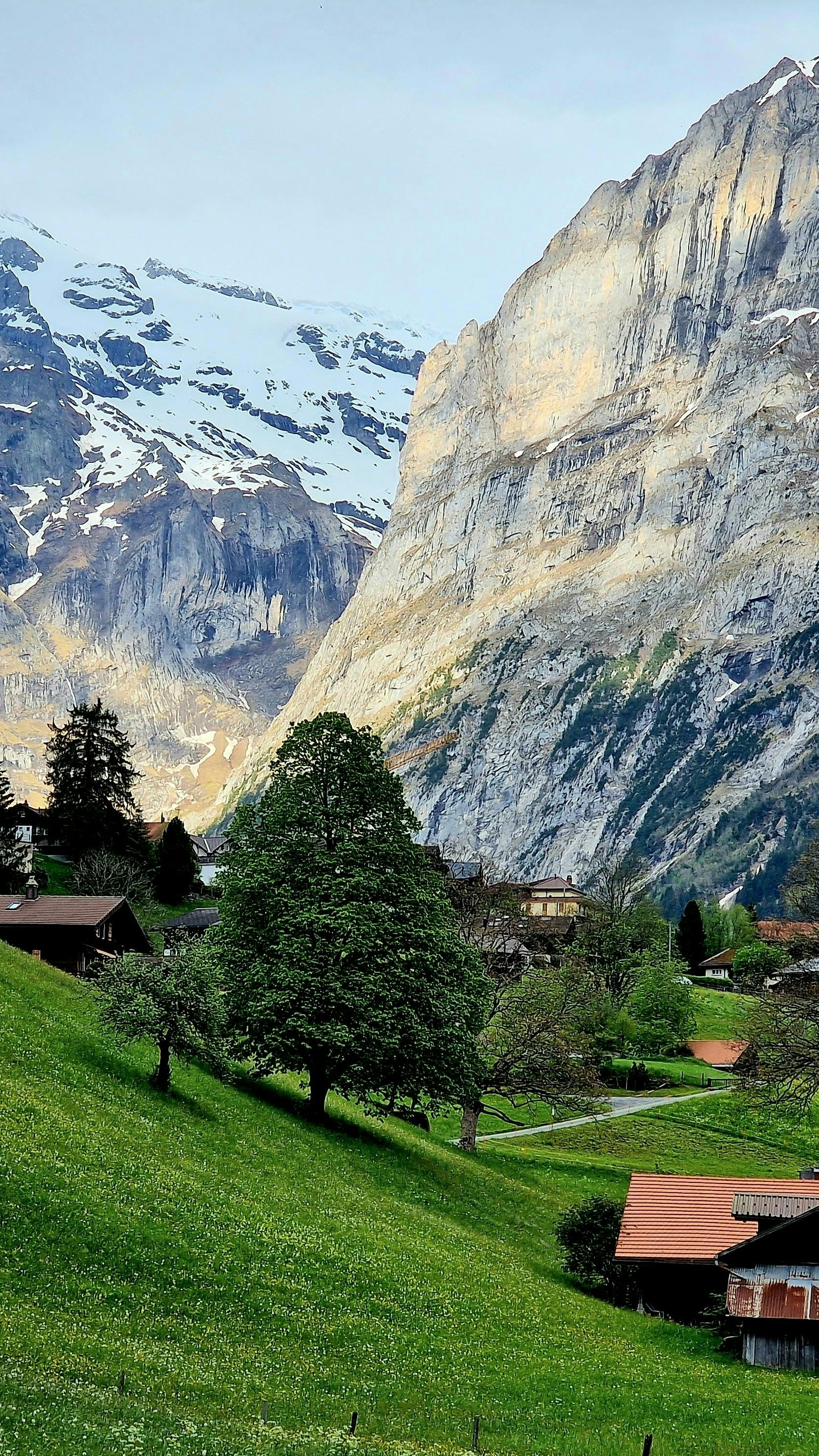 Alpine Village Beneath Snow-capped Mountains