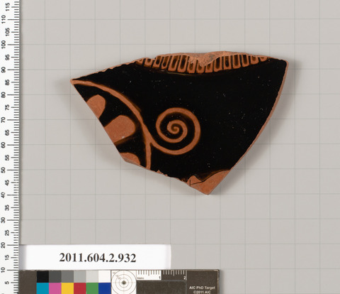 Ancient Pottery Shard Specimen