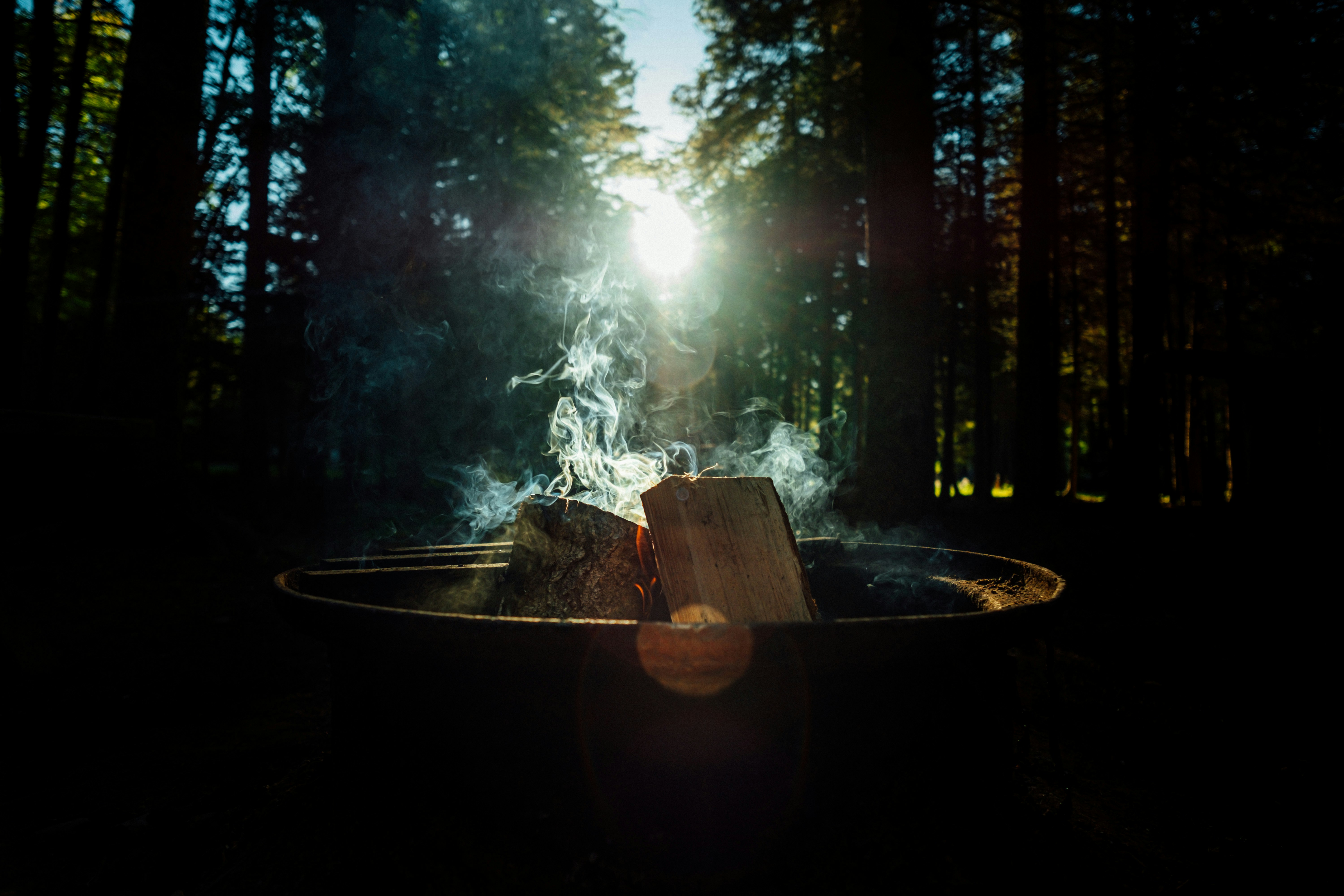 Smoking Campfire in Forest