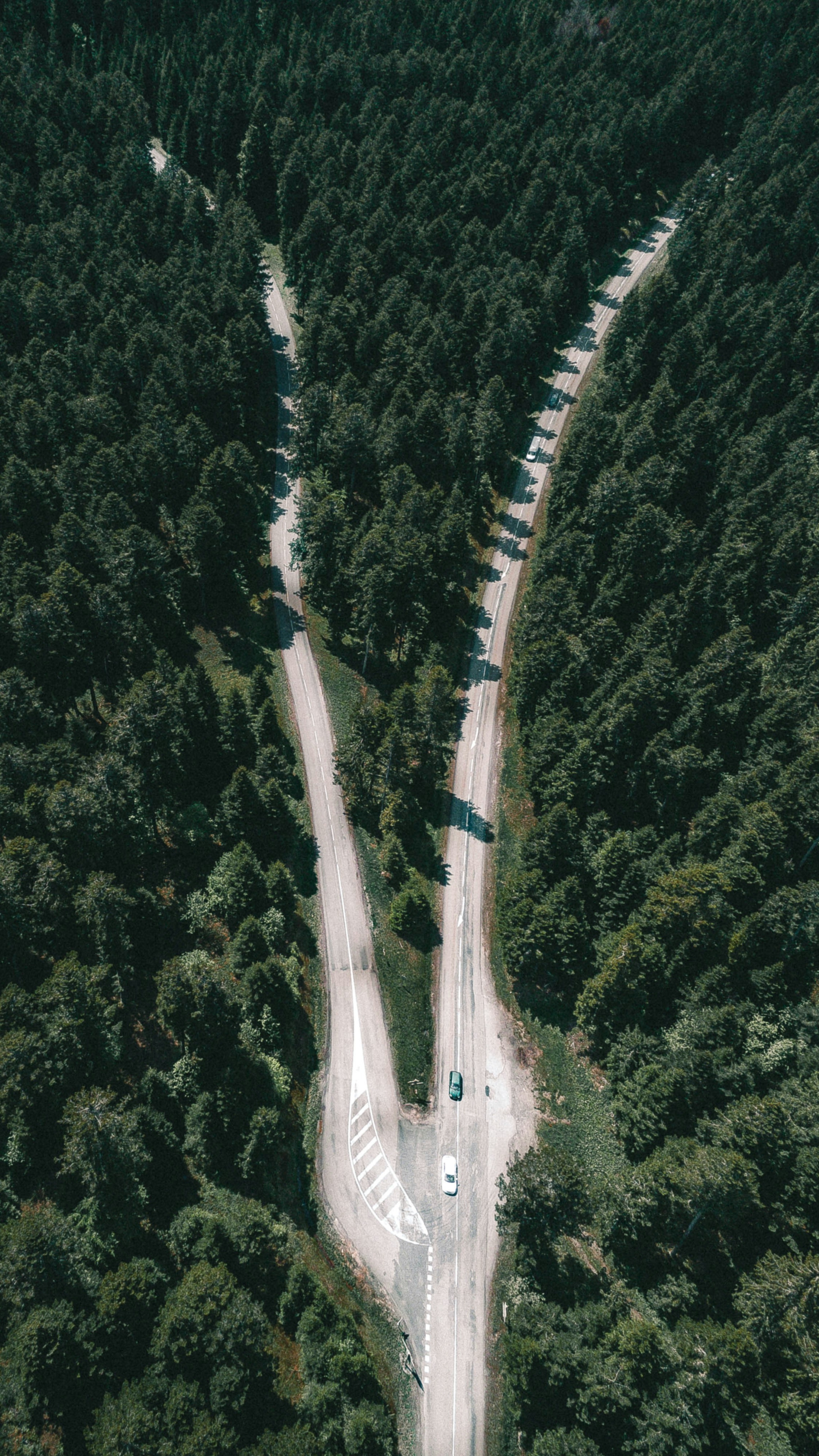 Wallpapers