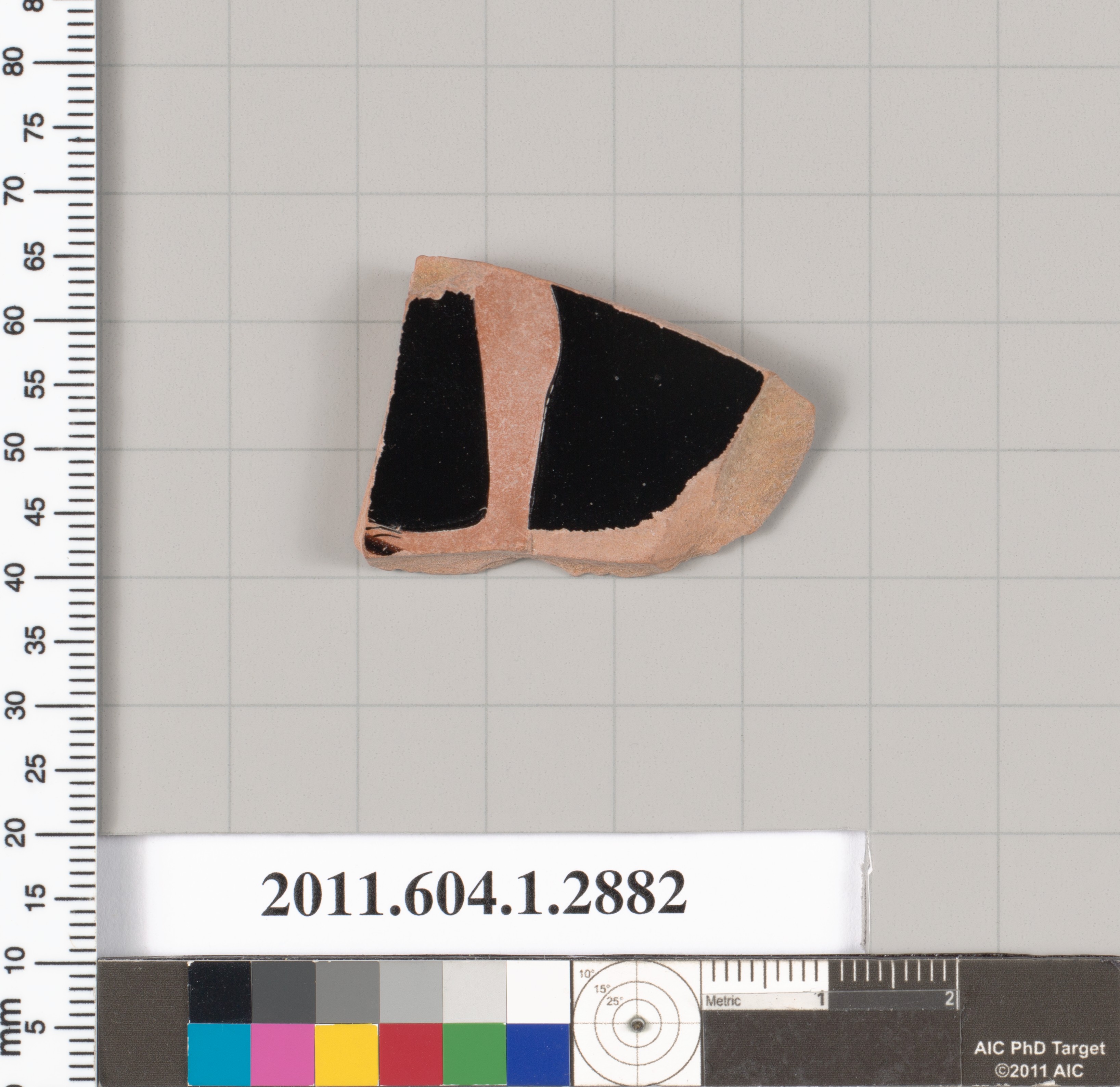 Museum Cataloged Pottery Shard