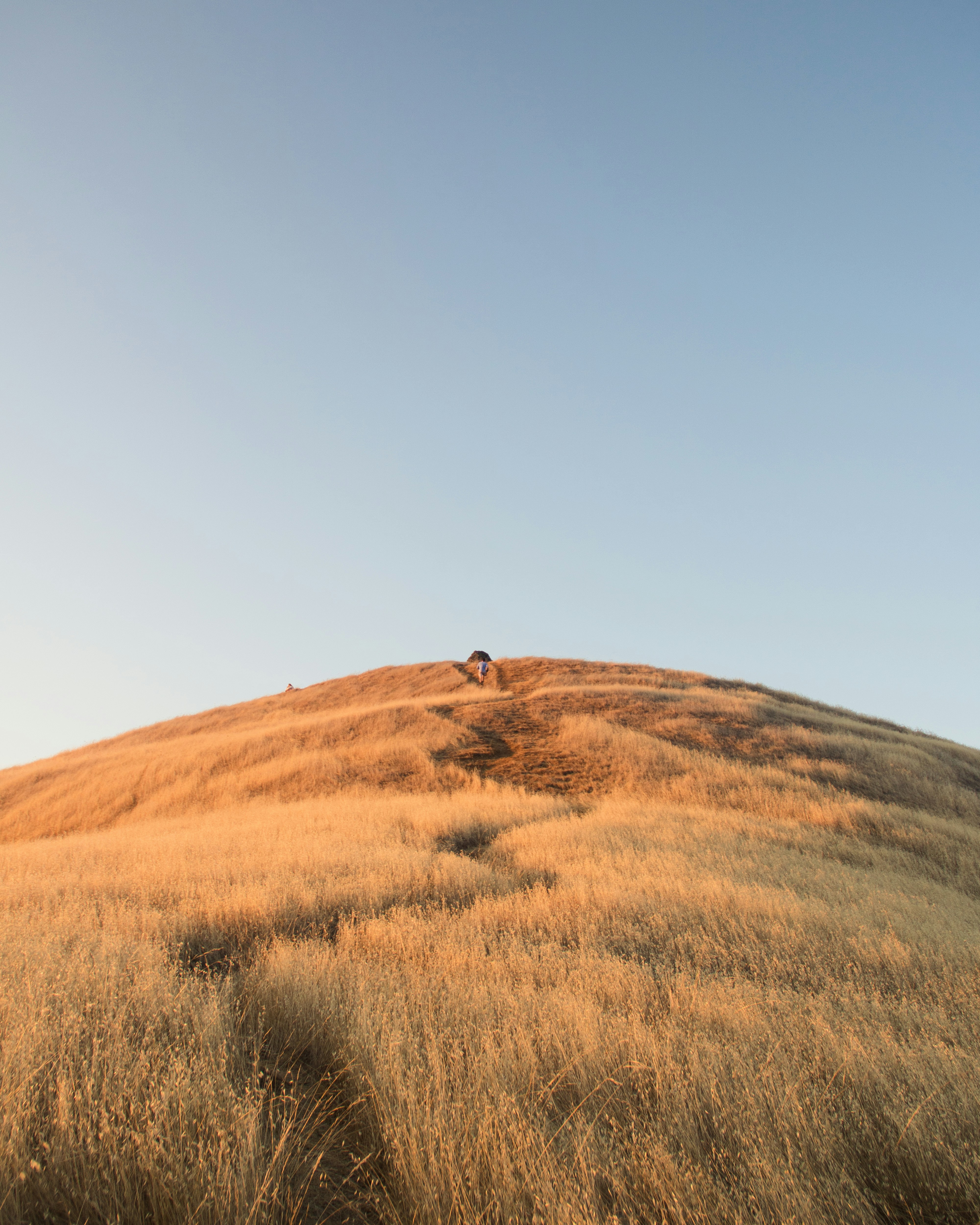 Hiker Climbing Golden Grass Hill