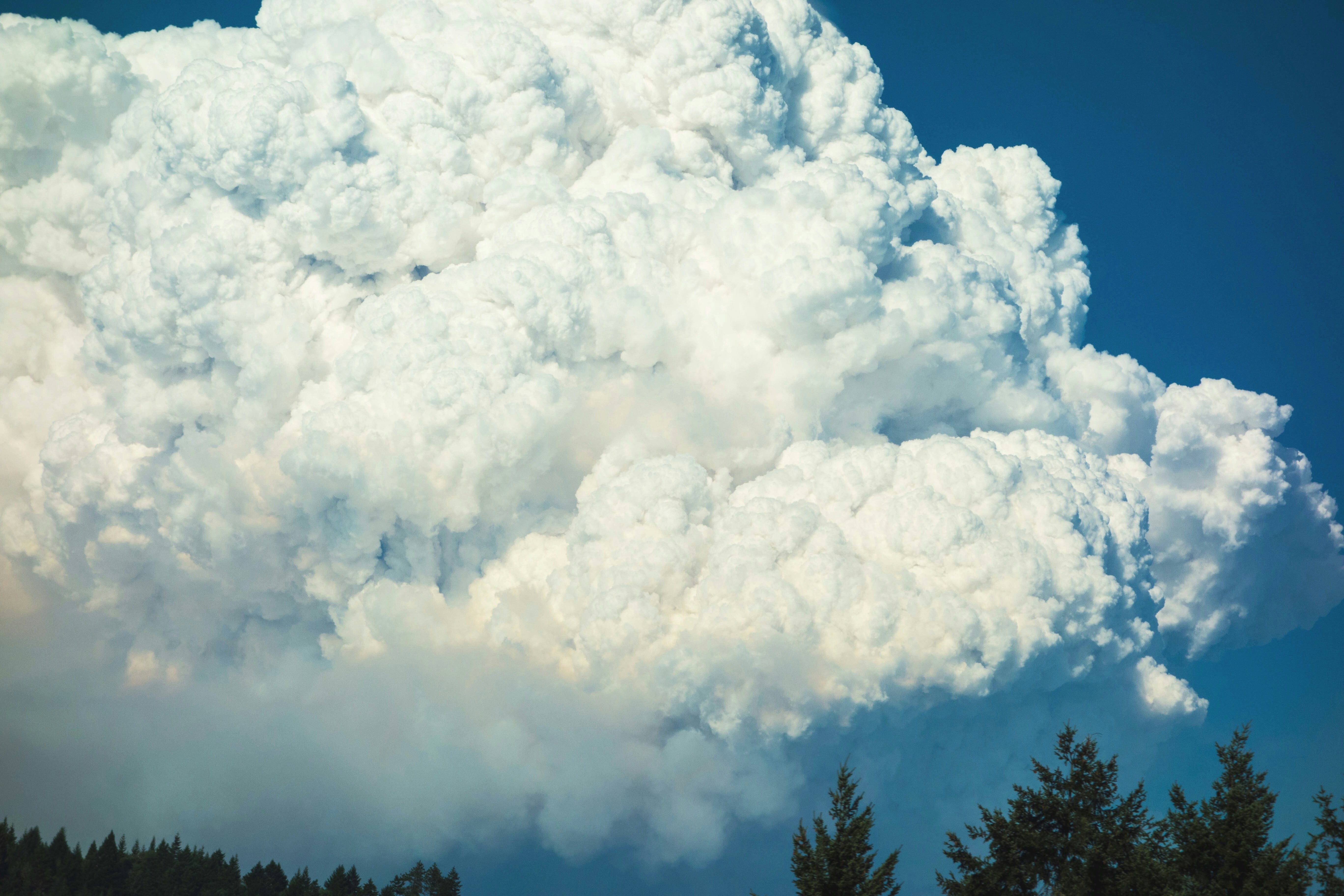 Massive Smoke Cloud Over Forest