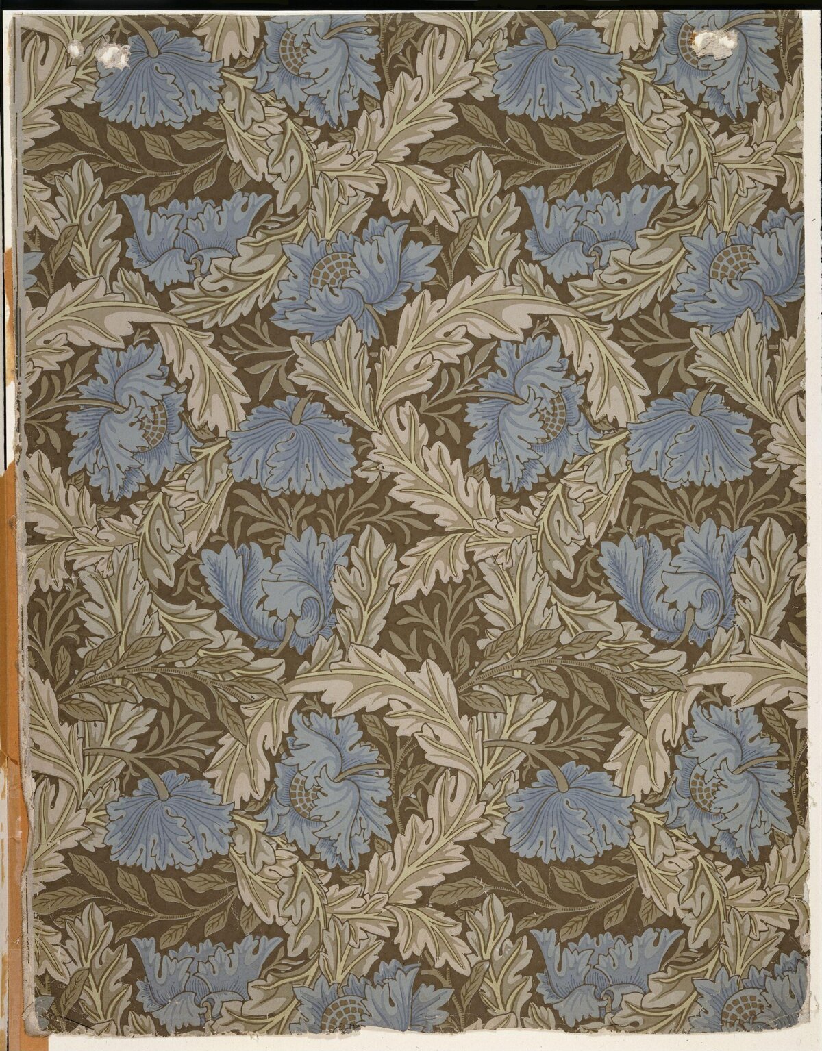 Blue Anemone Floral Pattern