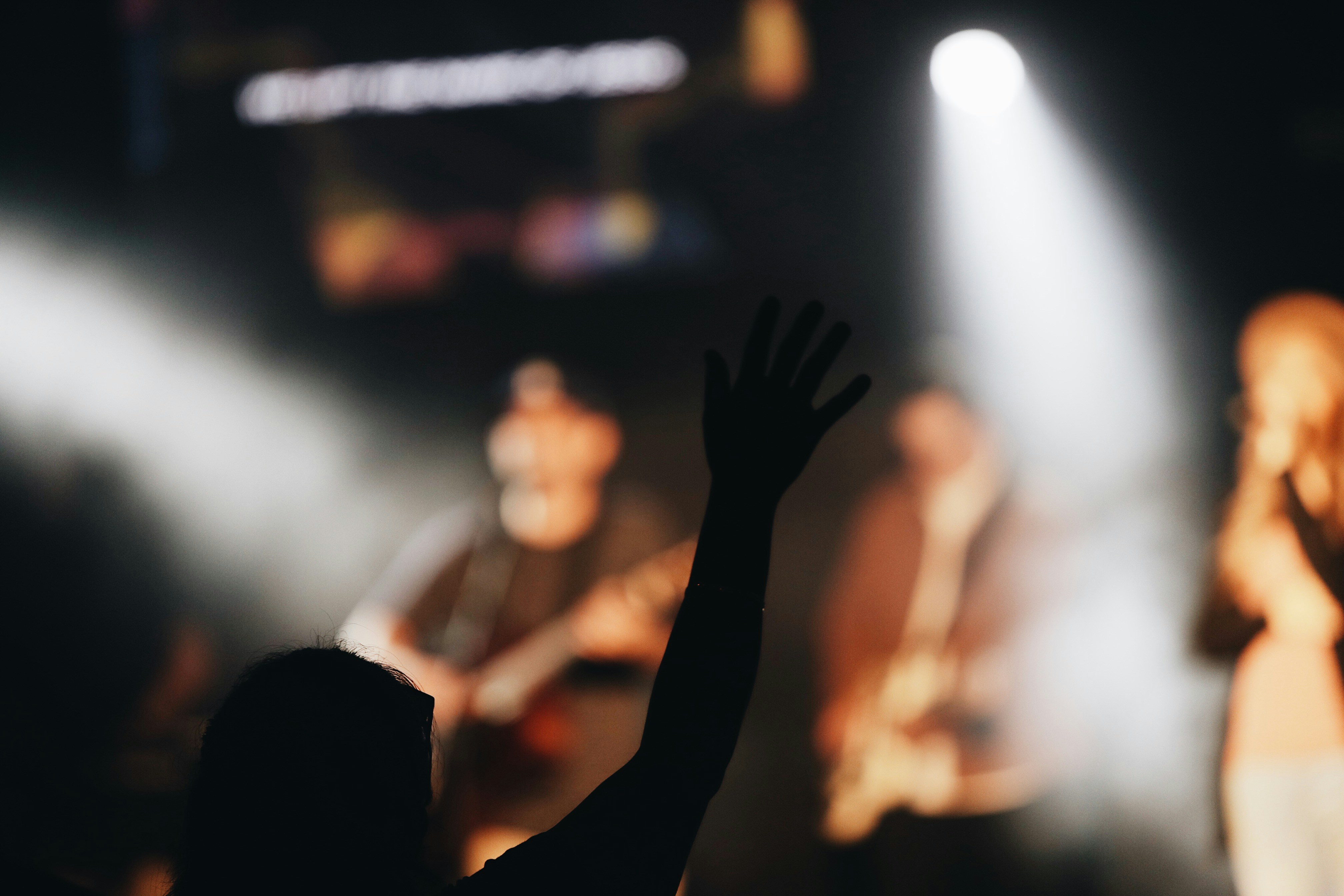 Raised Hand at Live Concert