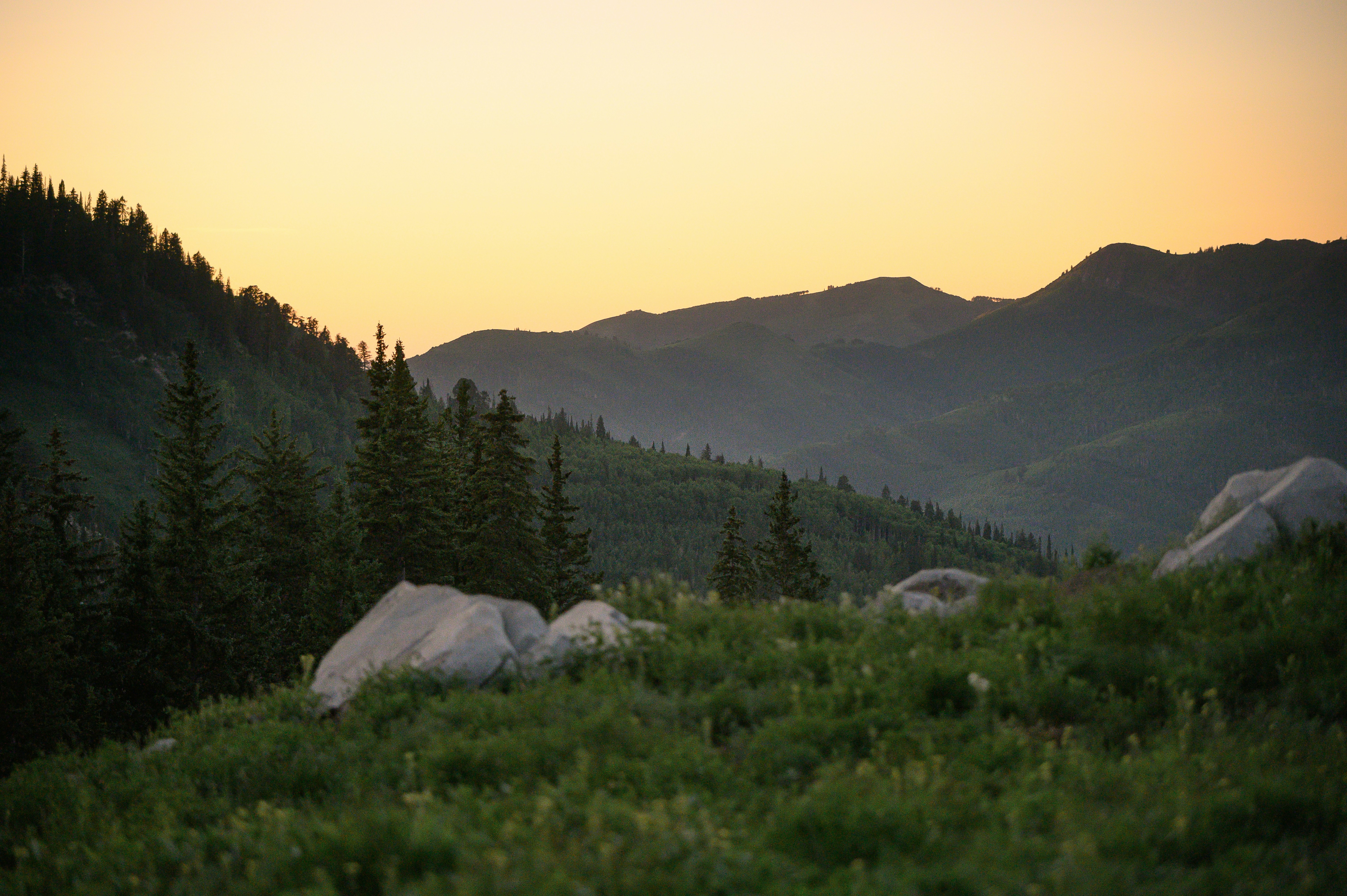 Mountain Forest Sunset Landscape