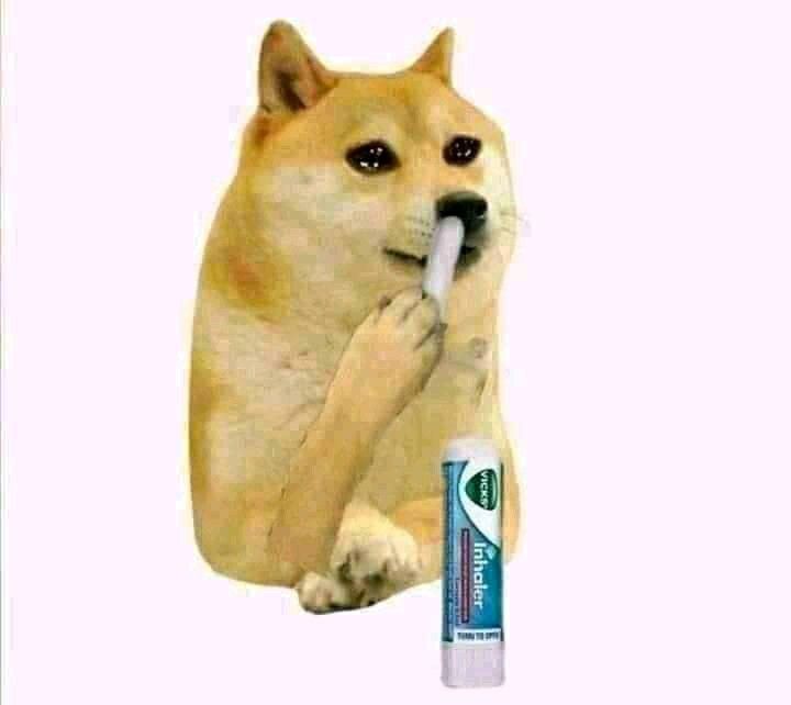 Doge Using Vicks Inhaler