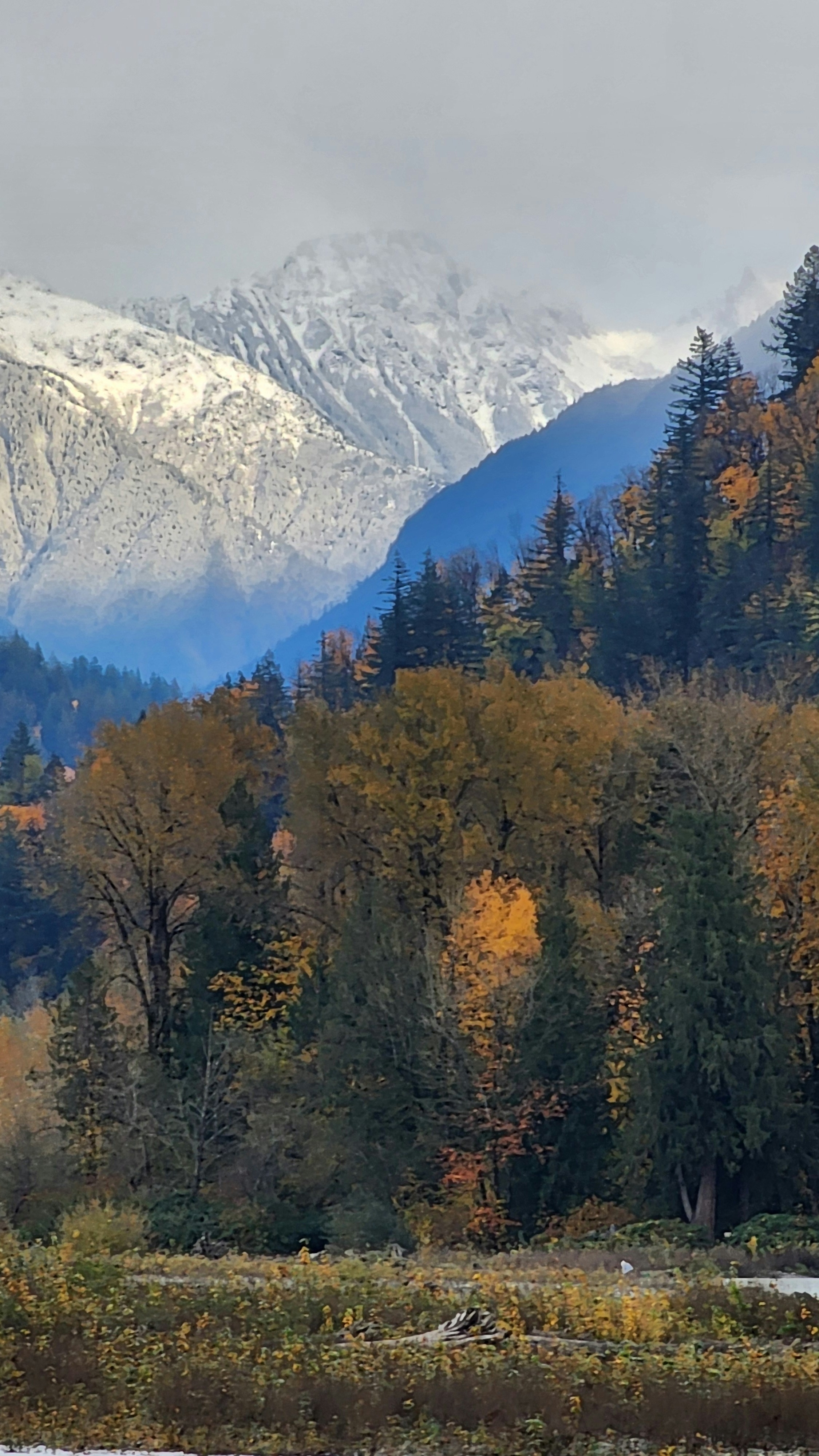 Image 1544976 — Nature