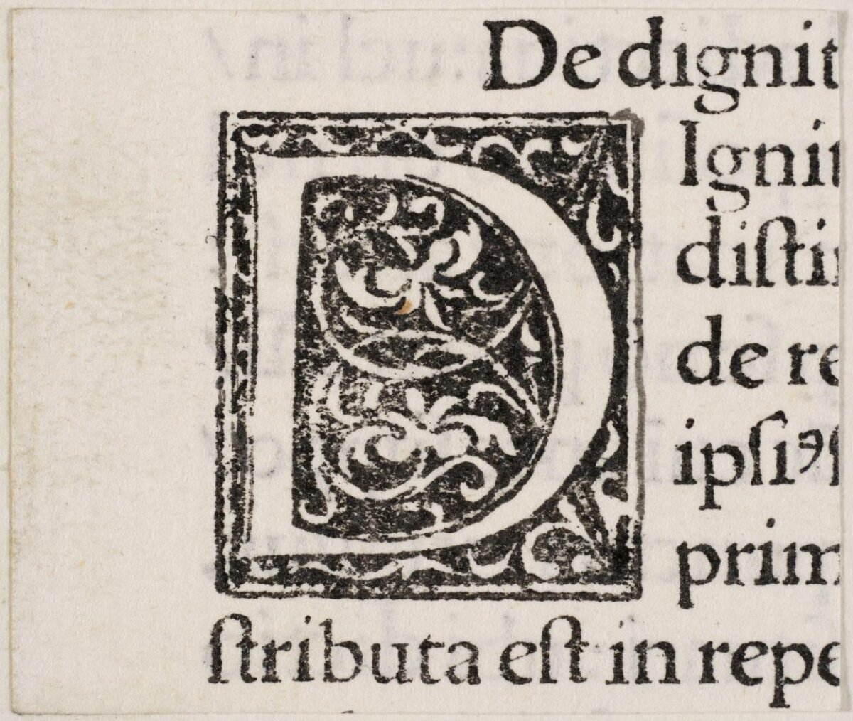 Ornate Initial D on Antique Printed Text