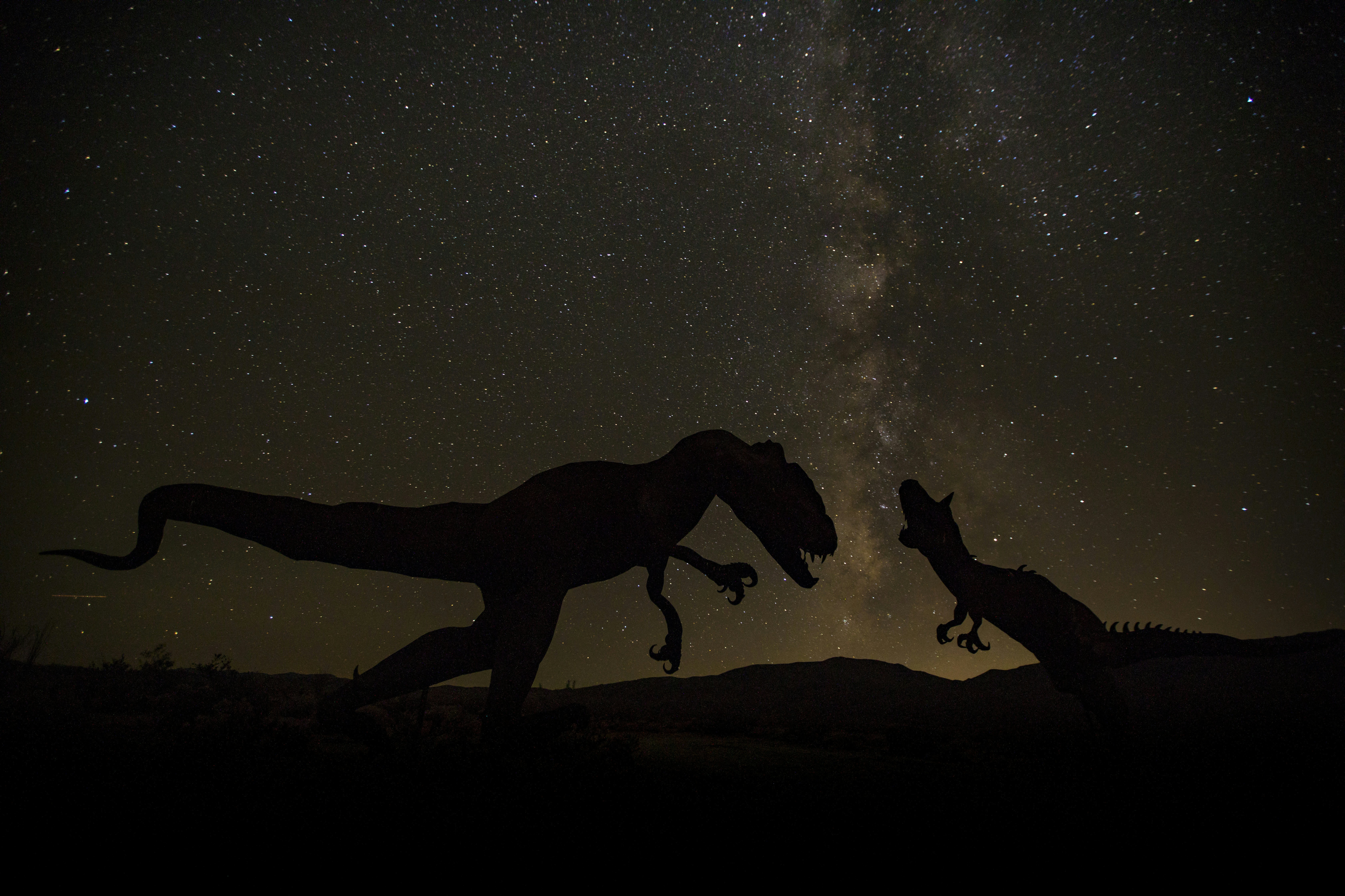 Dinosaur Silhouettes Under Starry Sky
