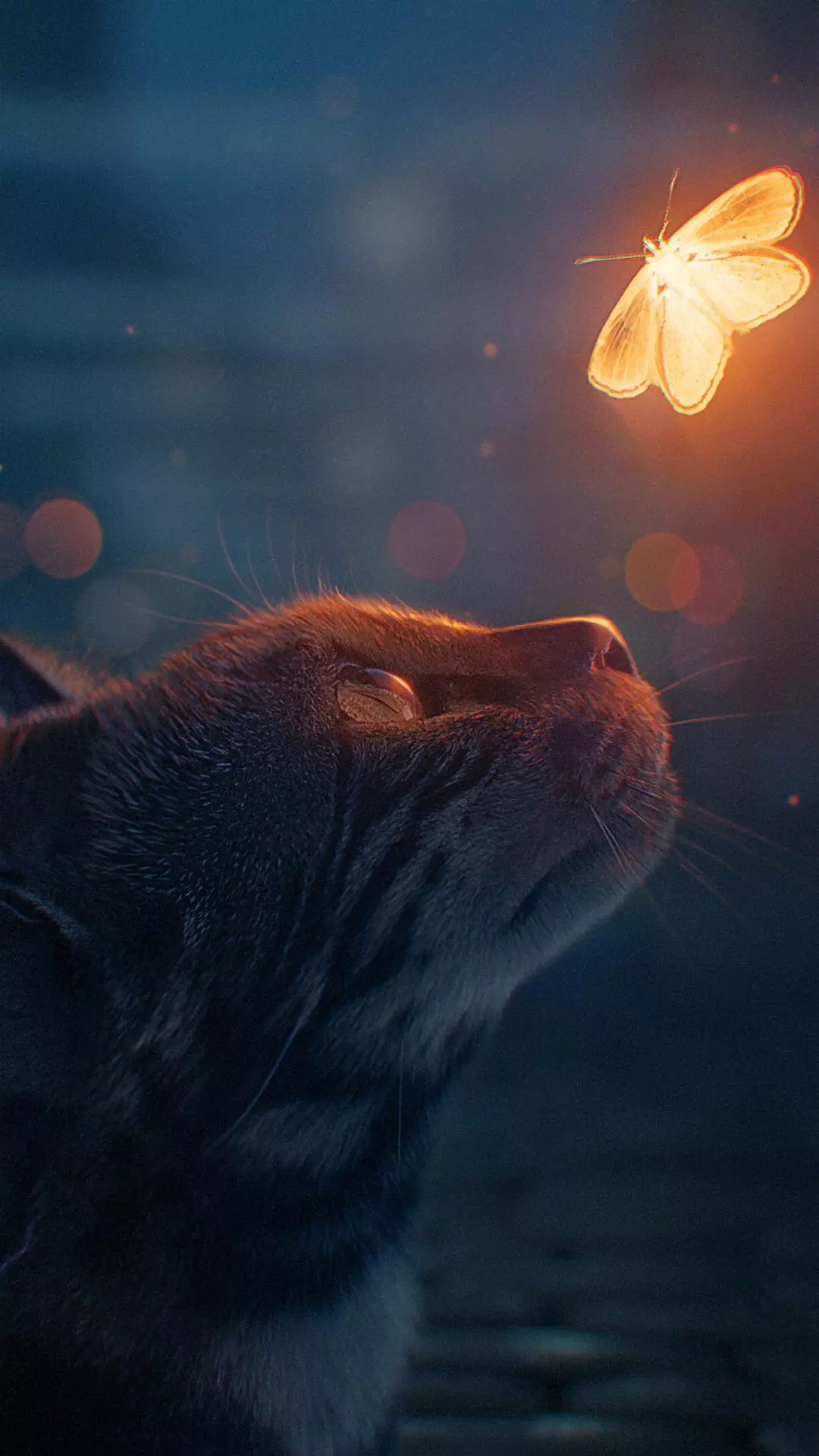 Wallpapers