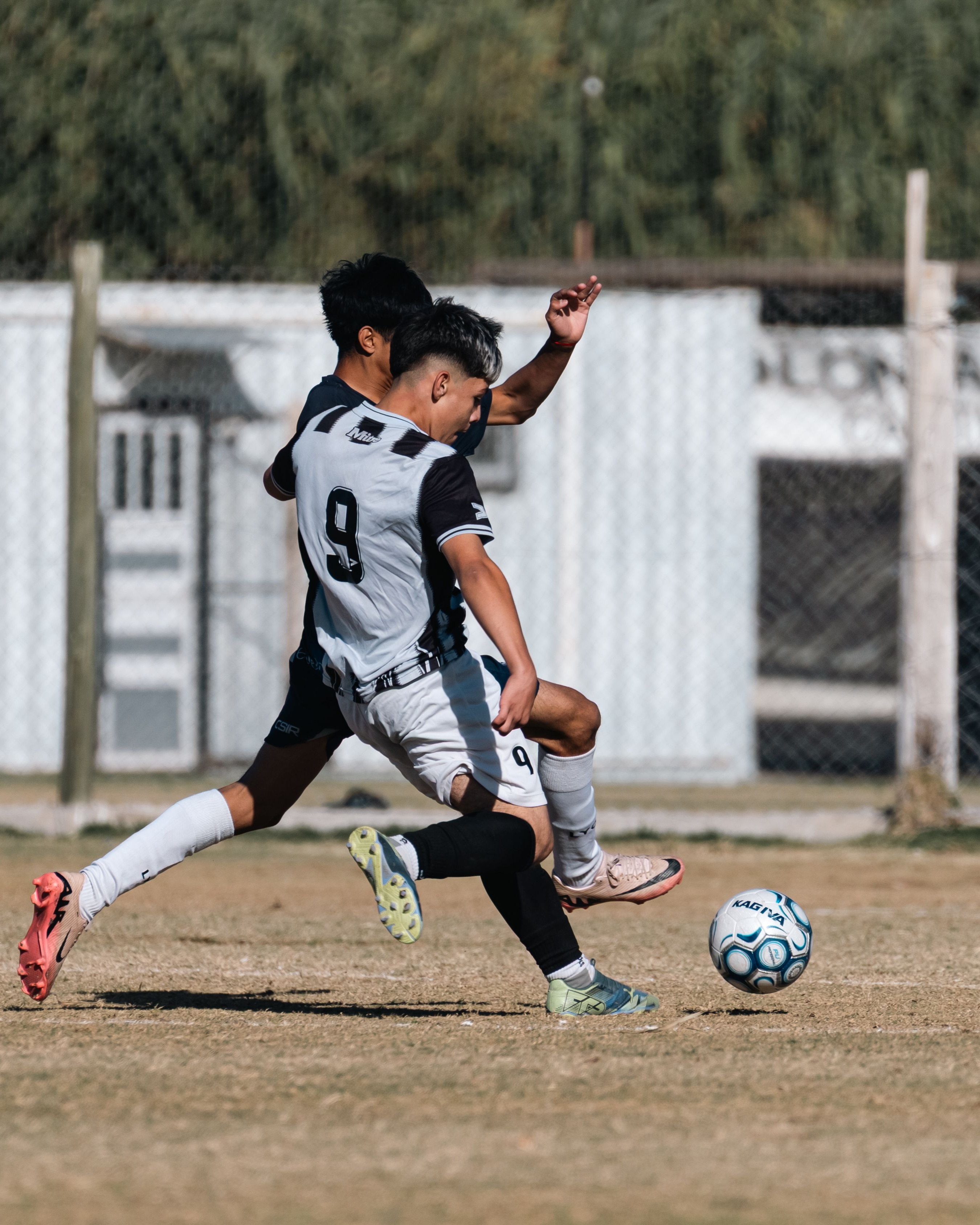 Image 1623187 — Sports