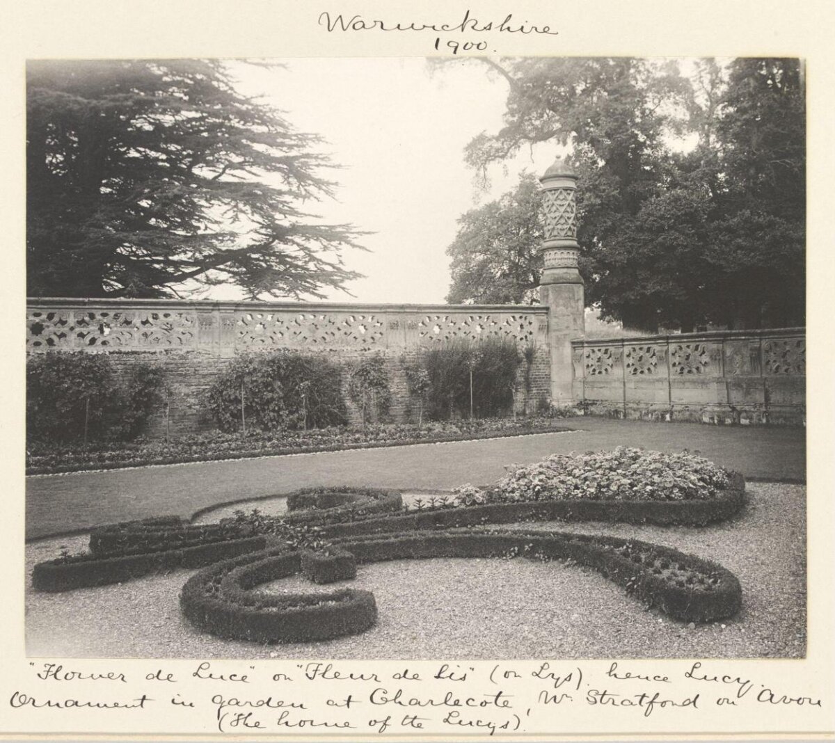 1900 Charlecote Garden Fleur de Lis Topiary