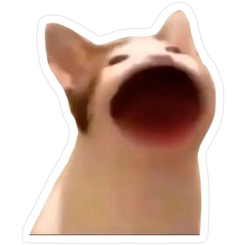 Screaming Cat Meme Sticker