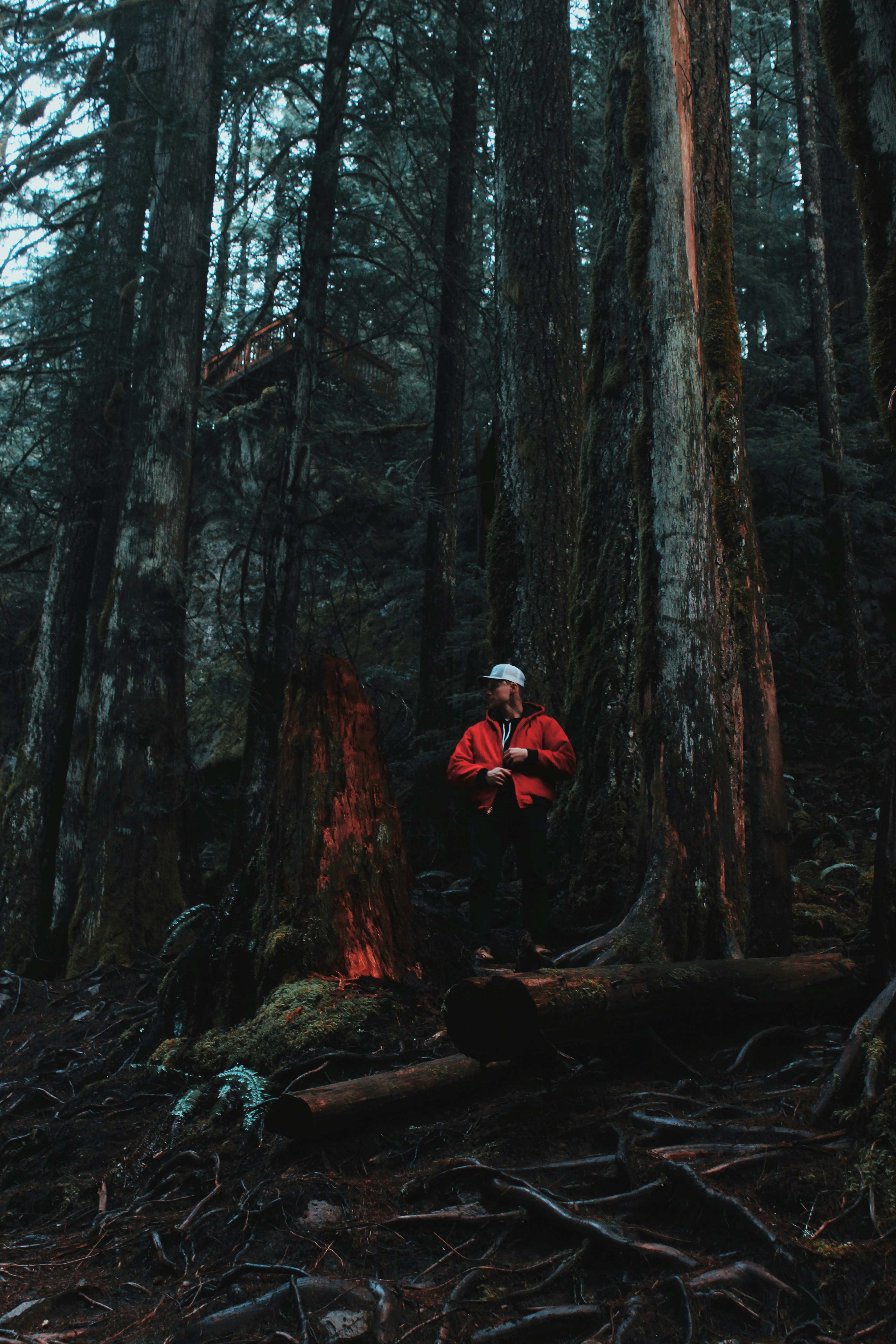 Man in Red Jacket in Dense Forest
