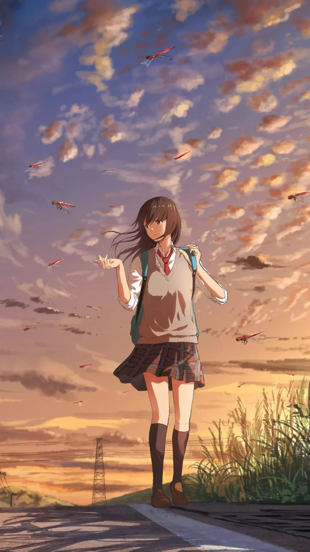 Wallpapers