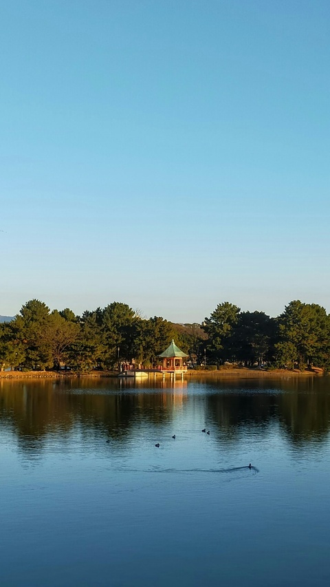 Calm Lake Pavilion Landscape