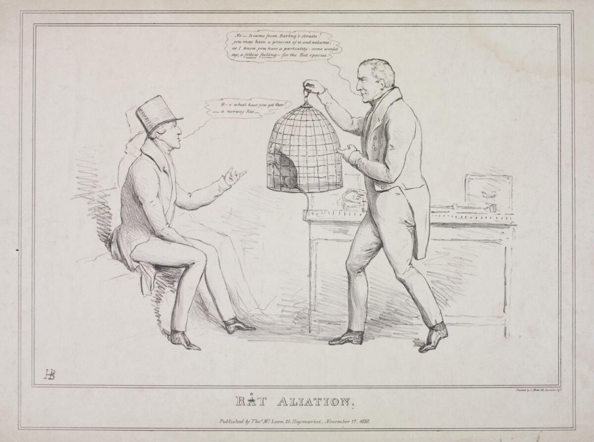 1830 Satirical Cartoon Rat Aliation