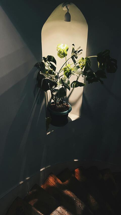 Image 1623065 — Art