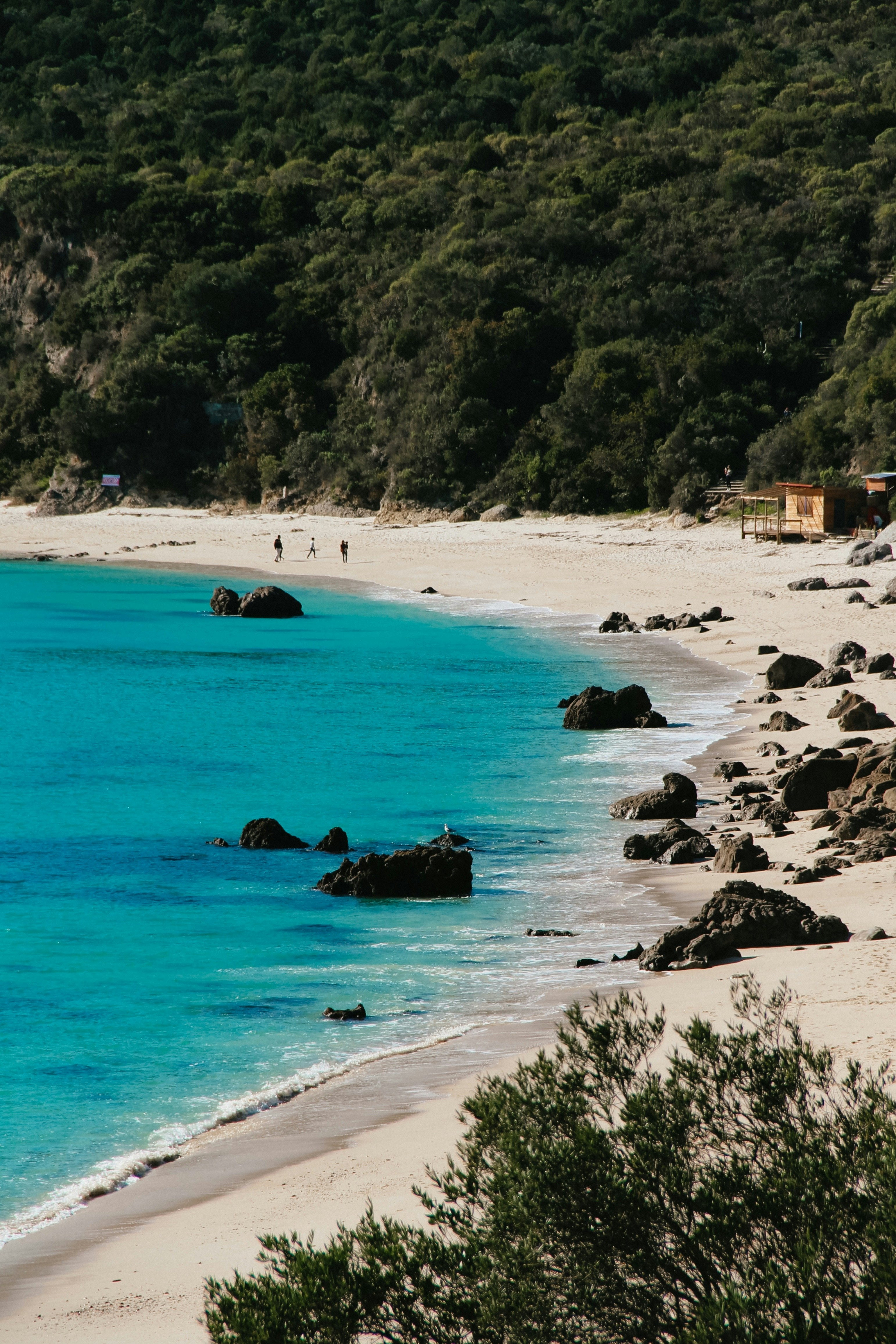 Secluded Turquoise Coastal Beach