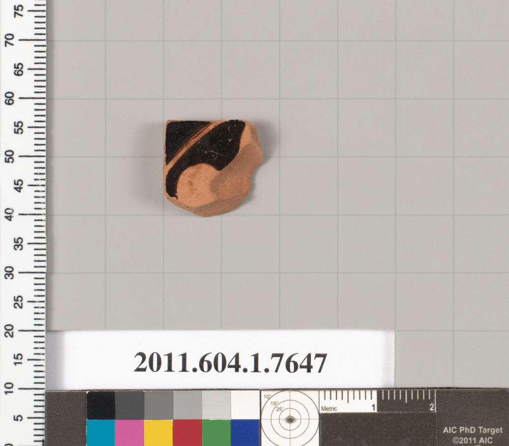 Pottery Fragment Archaeological Sample