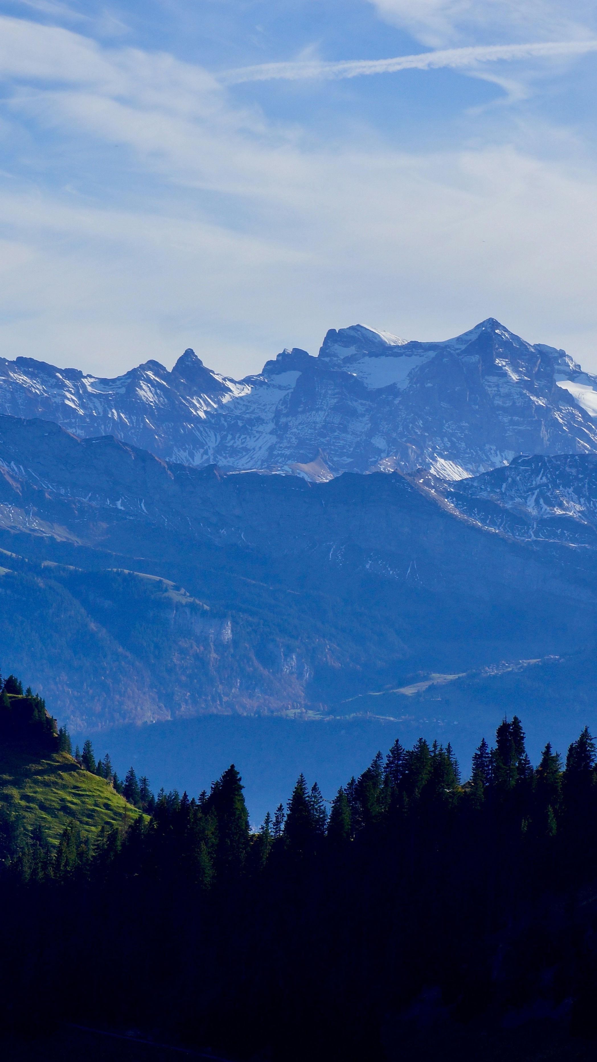 Snow-capped Mountain Forest Landscape