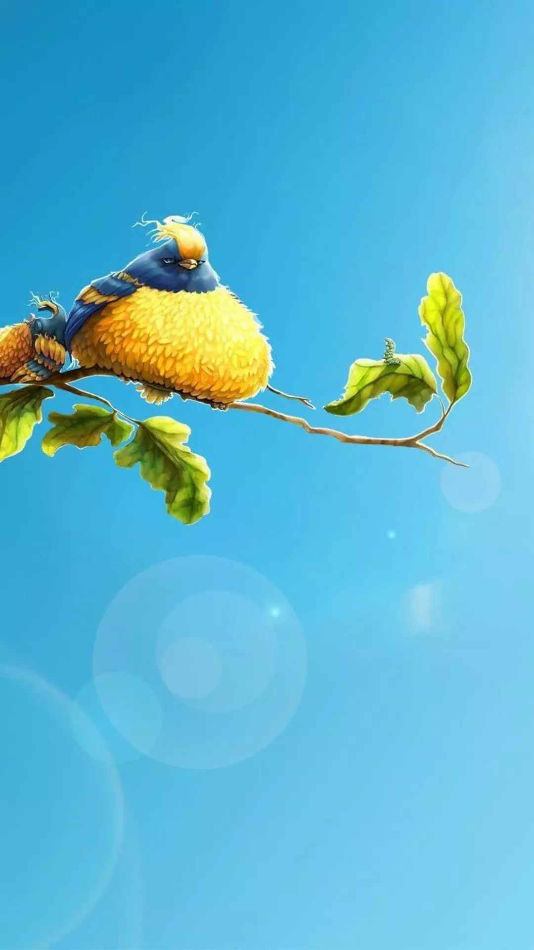 Wallpapers