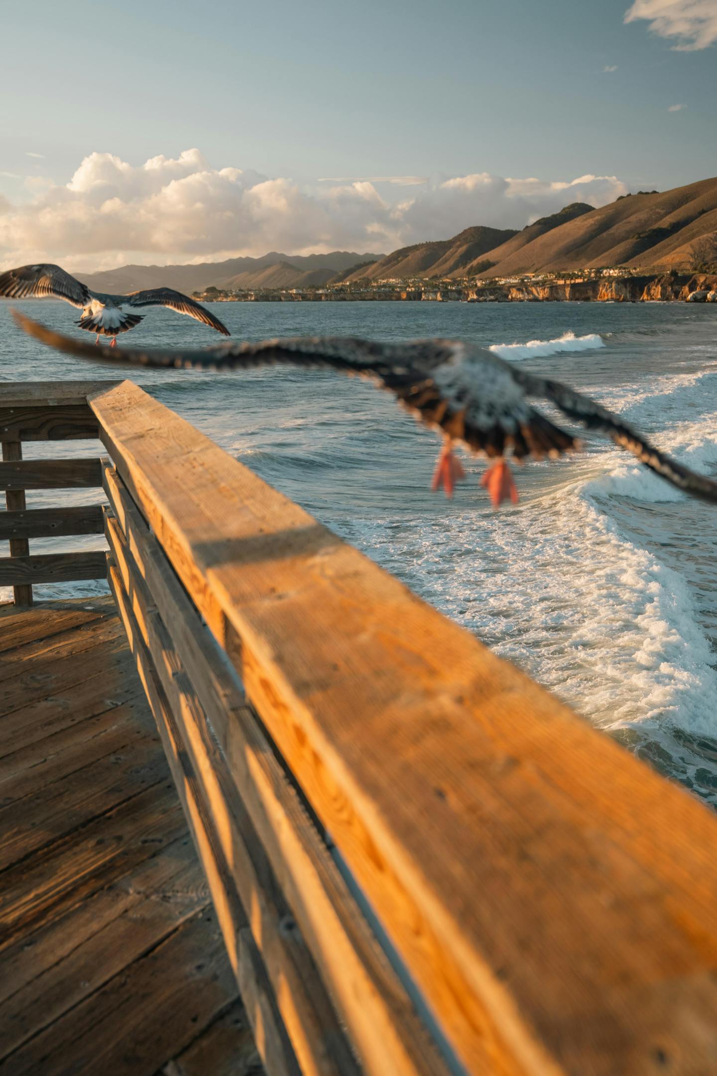 Seagulls Flying From Wooden Ocean Pier