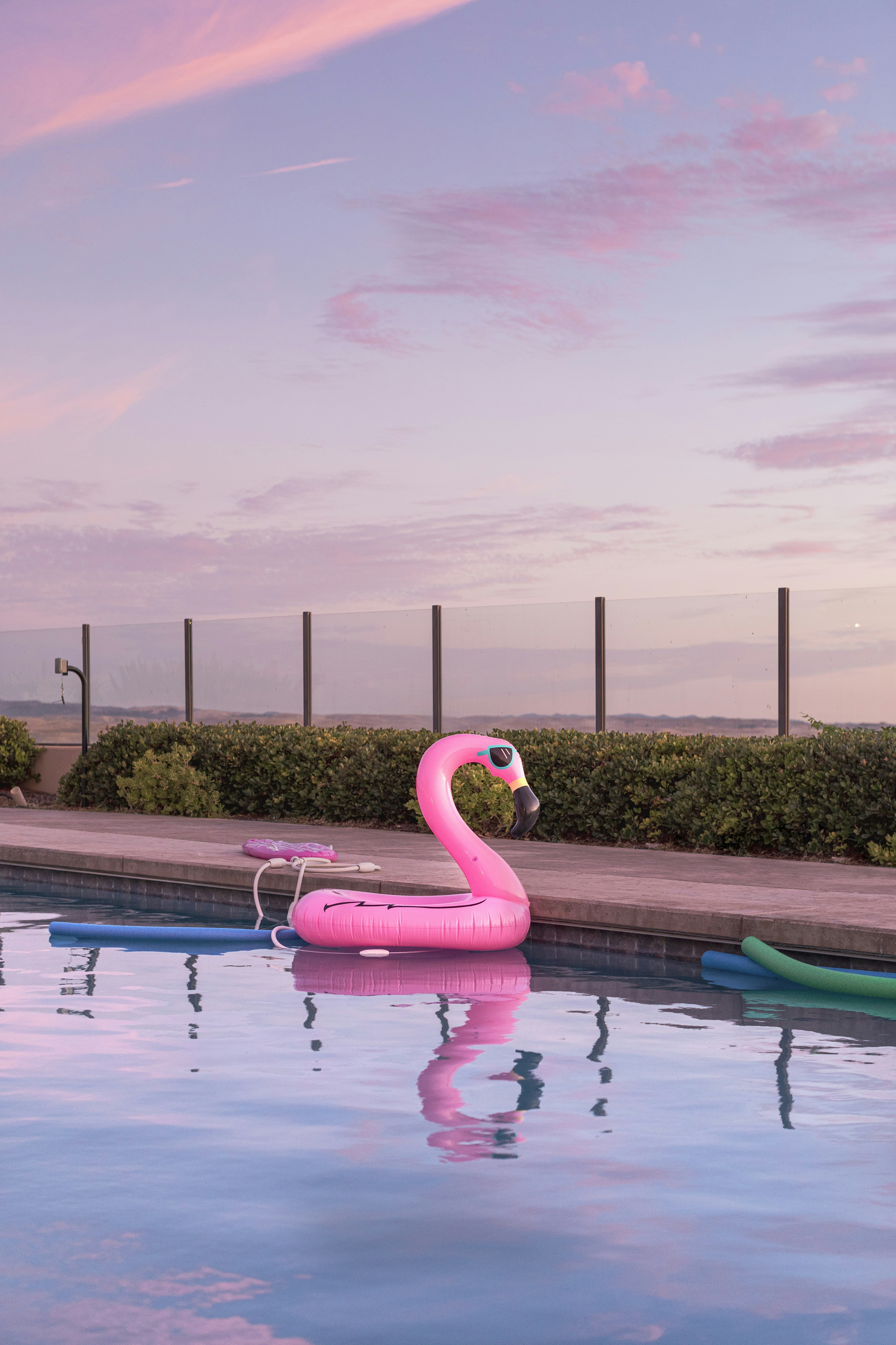 Pink Flamingo Float by Pool at Sunset