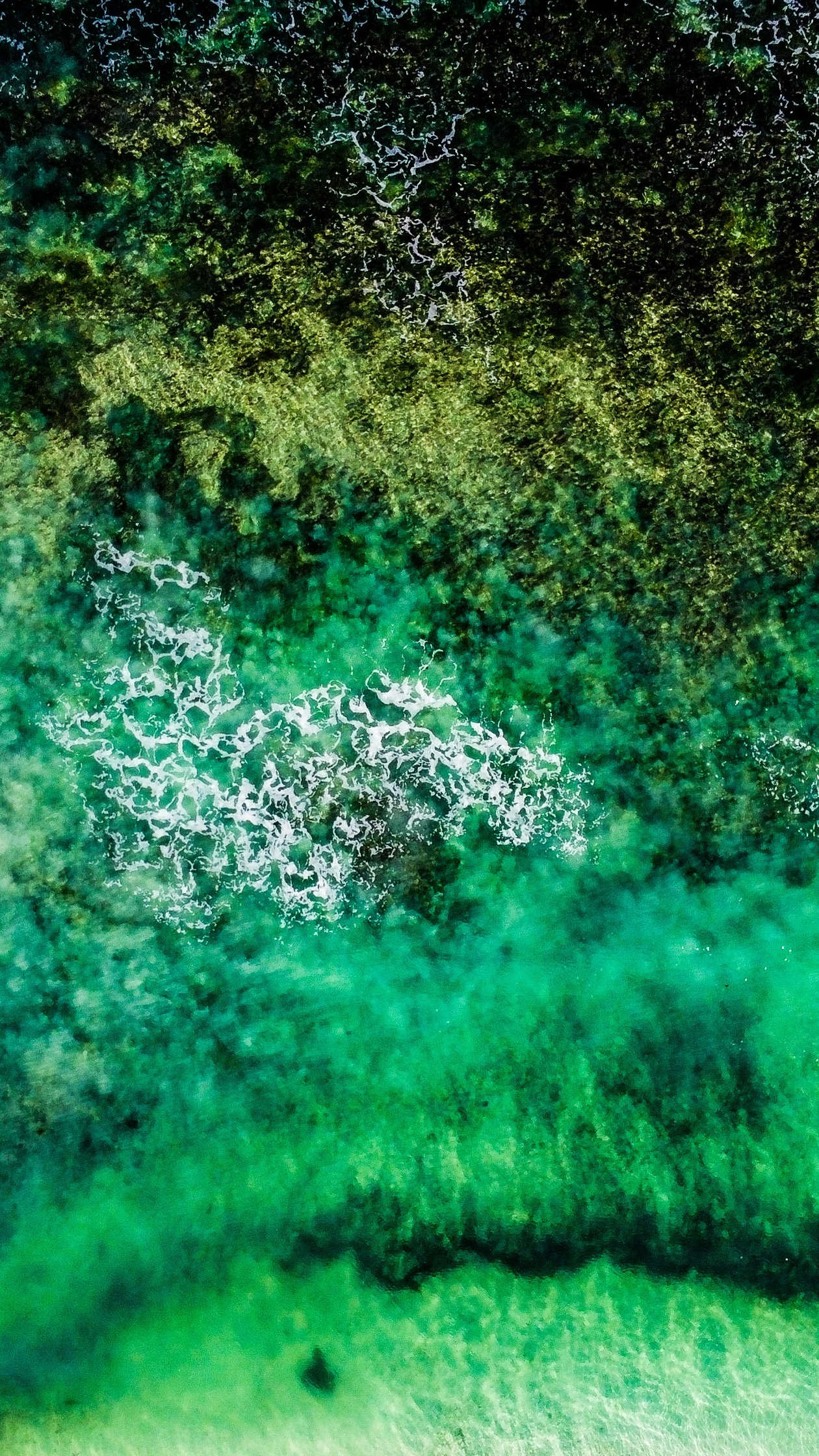 Wallpapers