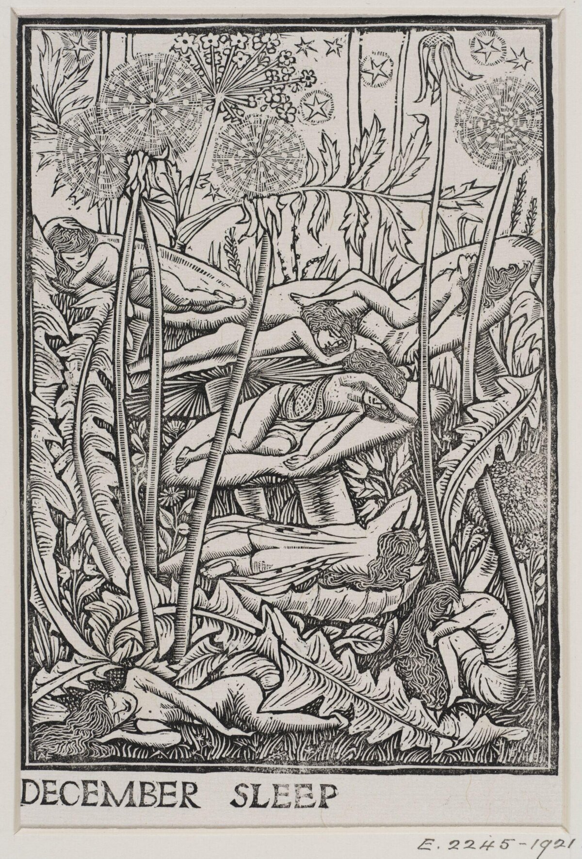December Sleep Woodcut Illustration