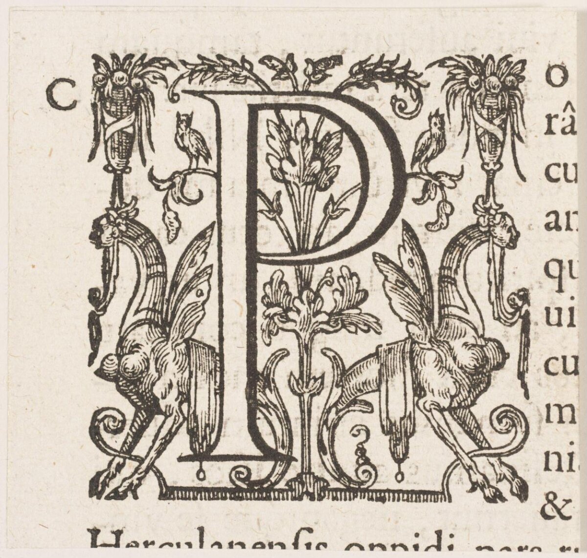 Ornate Decorated Initial Letter P