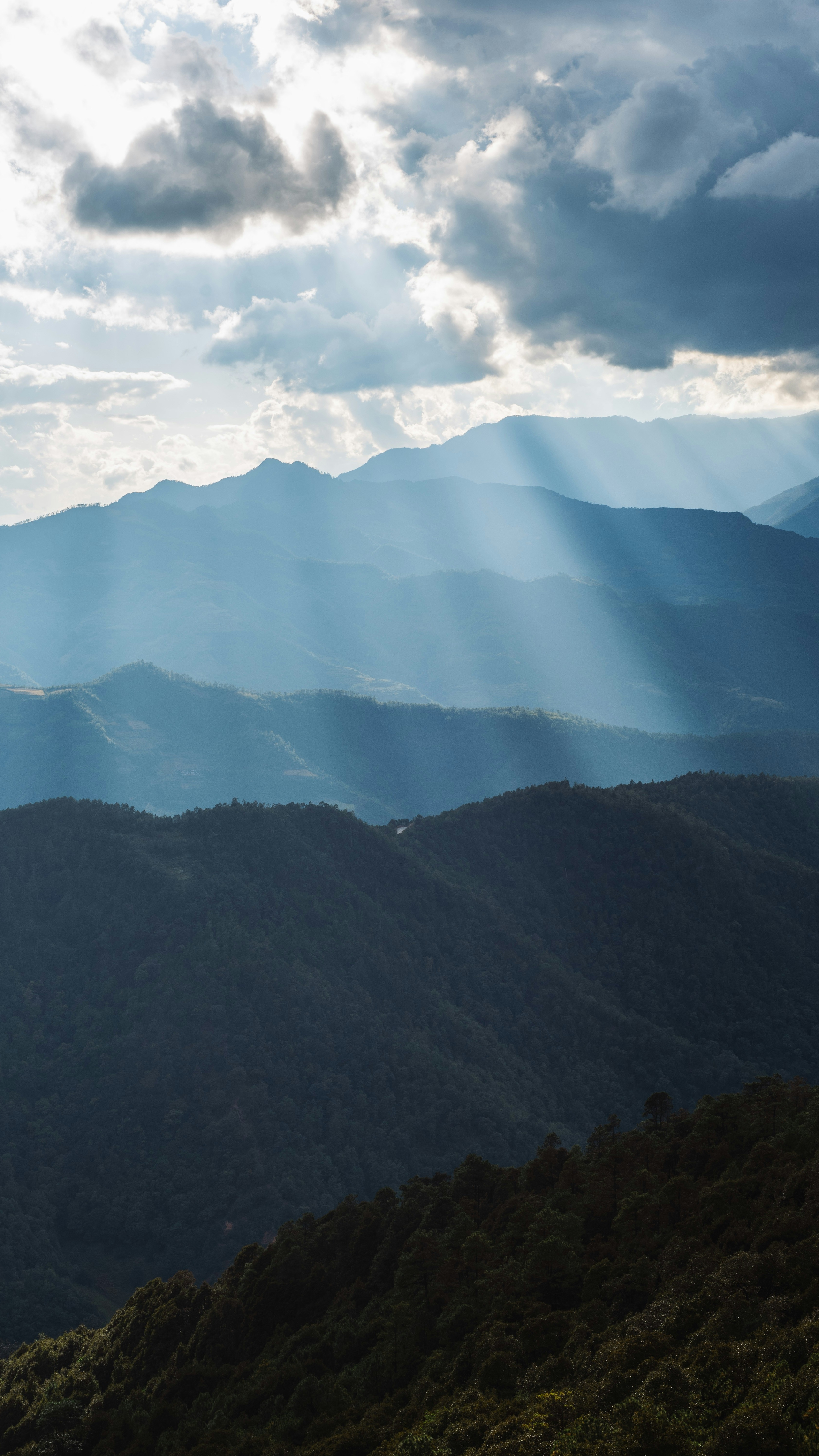 Landscapes