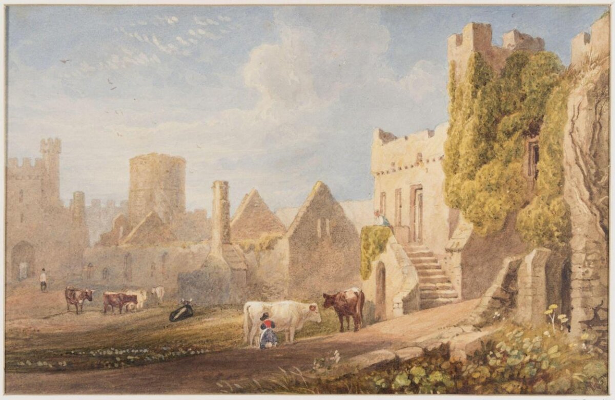Cattle Grazing at Castle Ruins