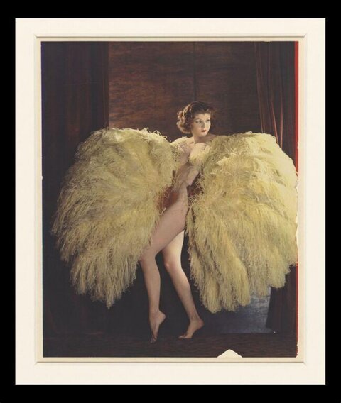 Vintage Portrait of Woman With Feather Fans