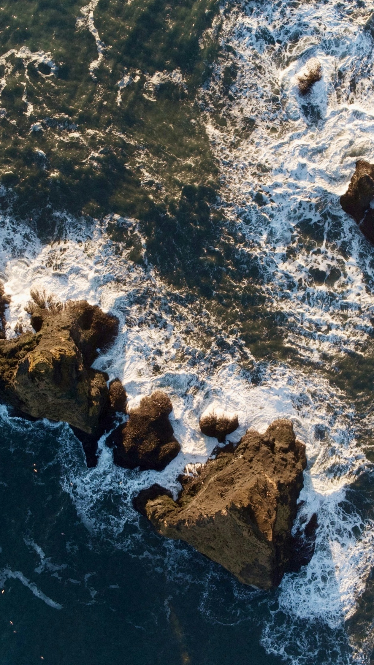 Wallpapers