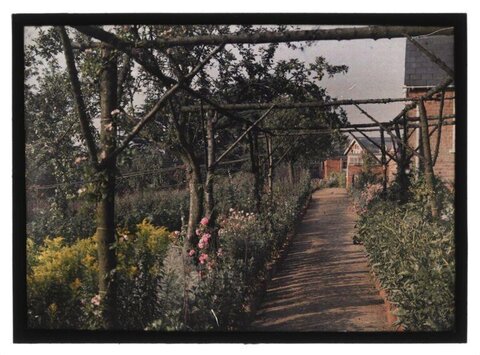 Vintage Garden Pergola Path