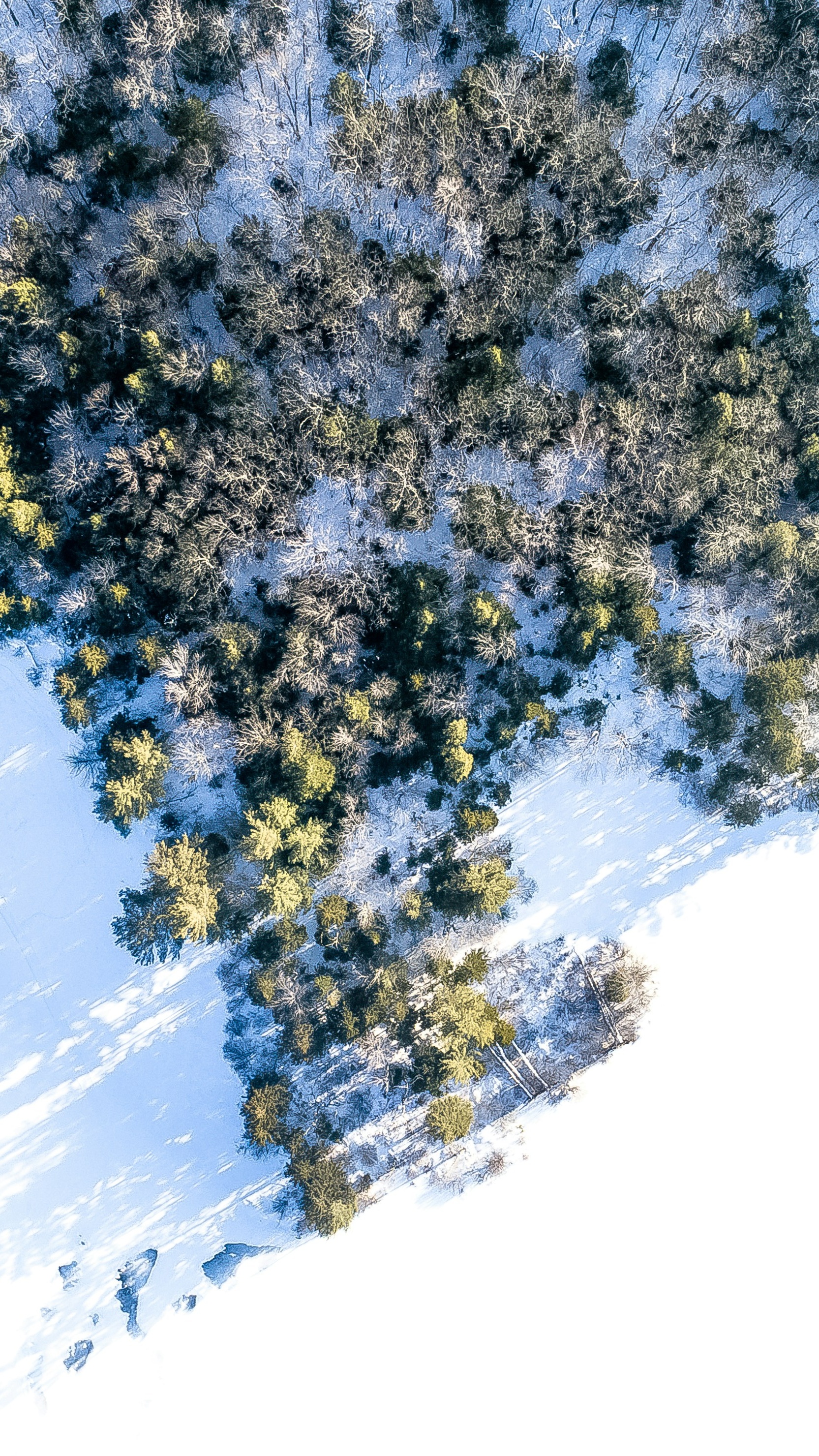 Wallpapers