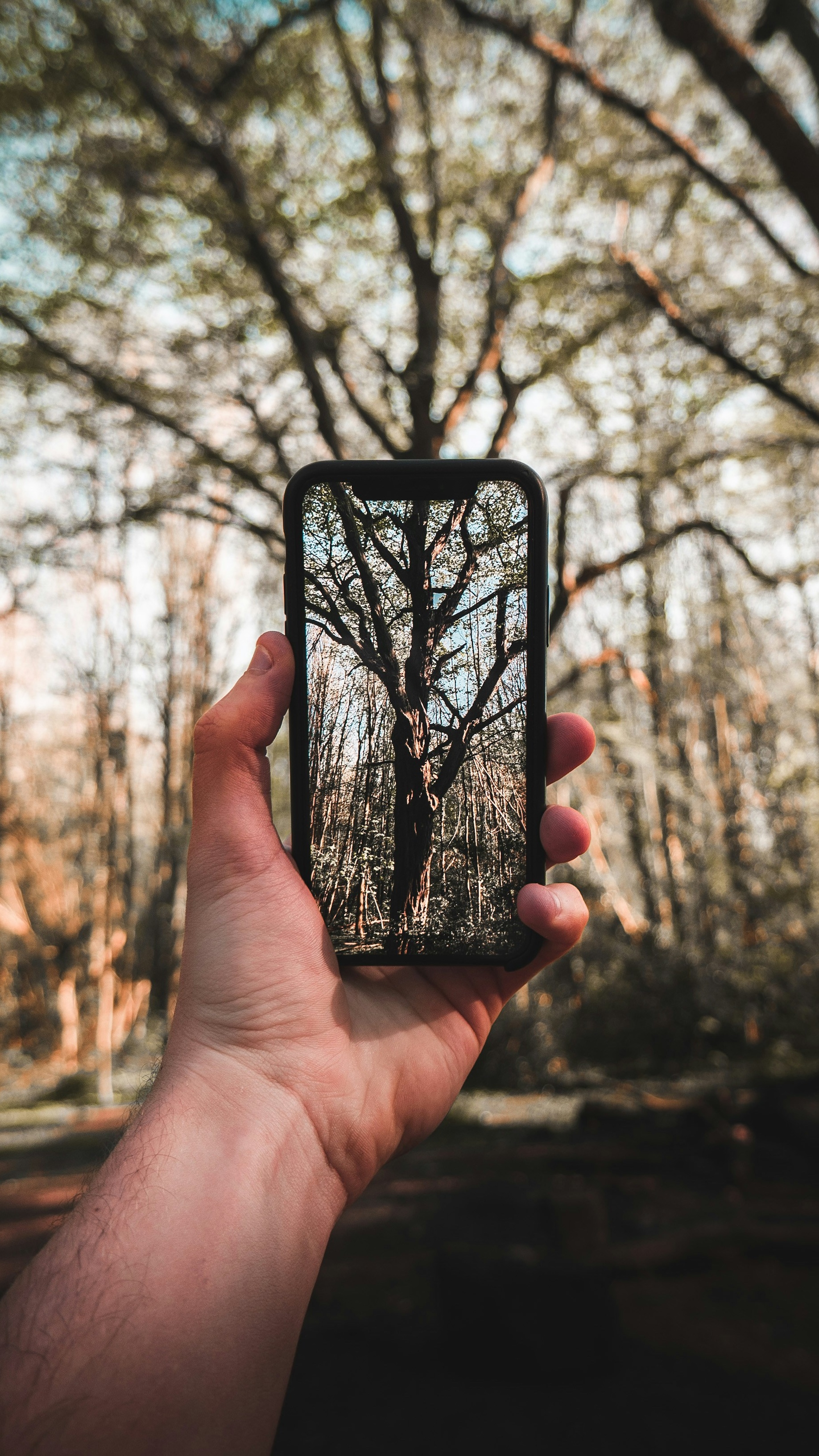 Wallpapers