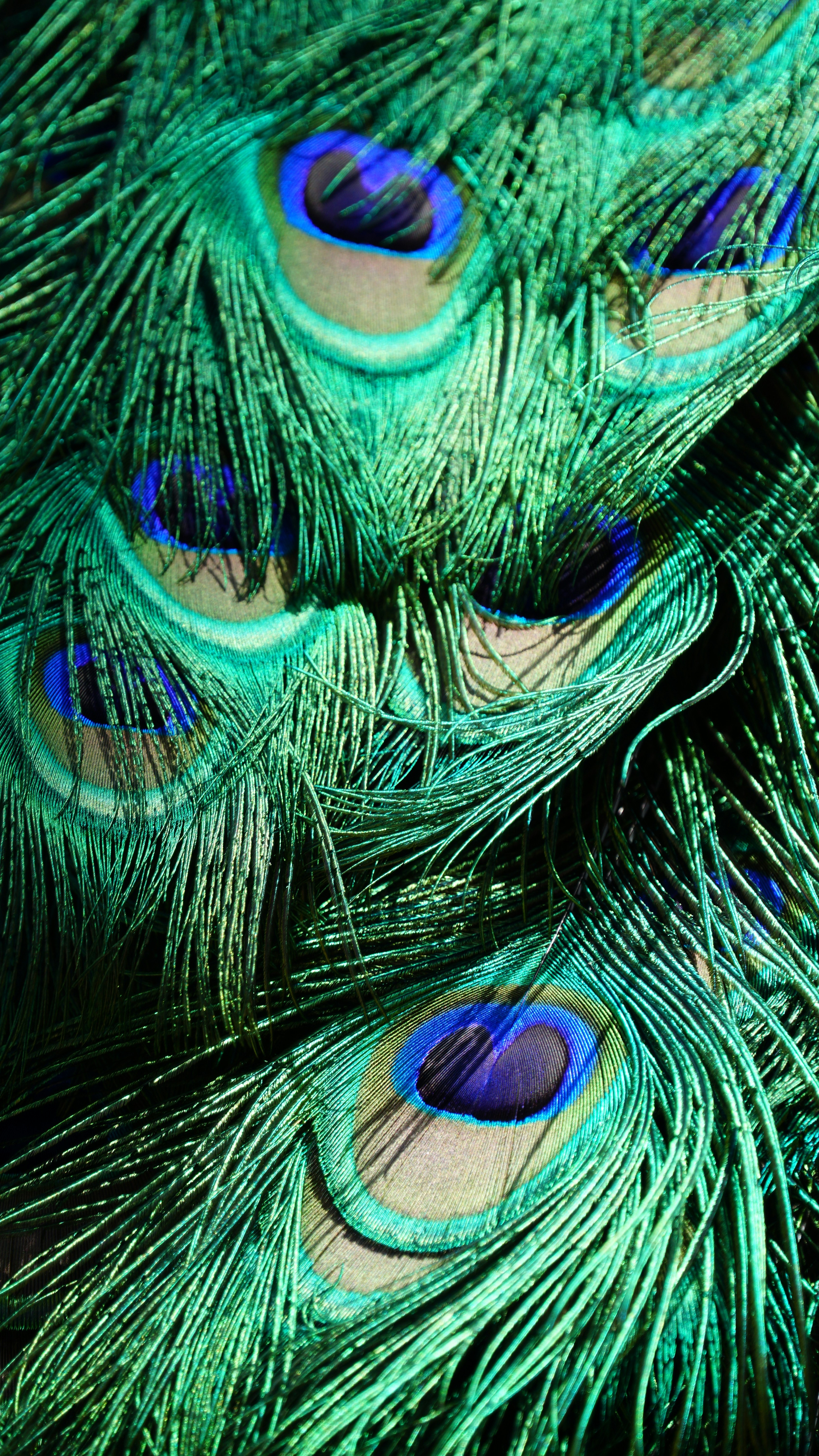 Wallpapers