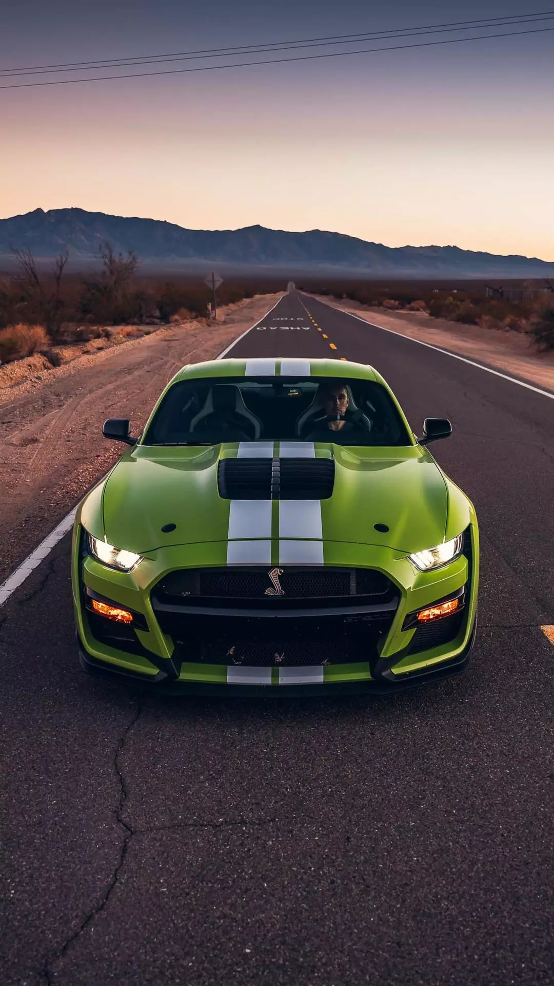 Wallpapers