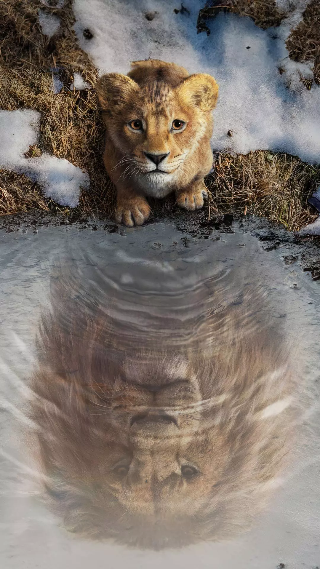 Wallpapers
