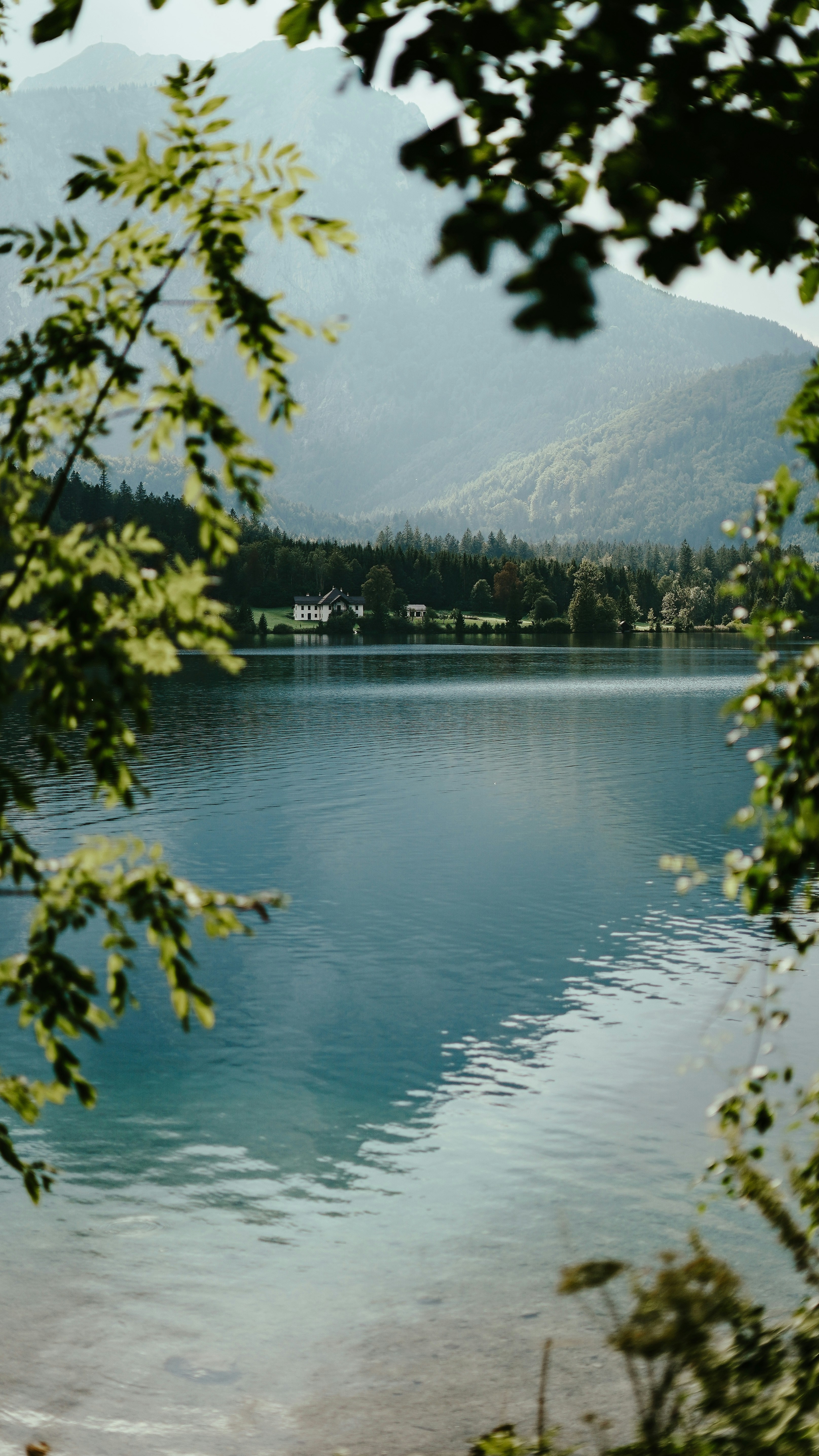 Landscapes