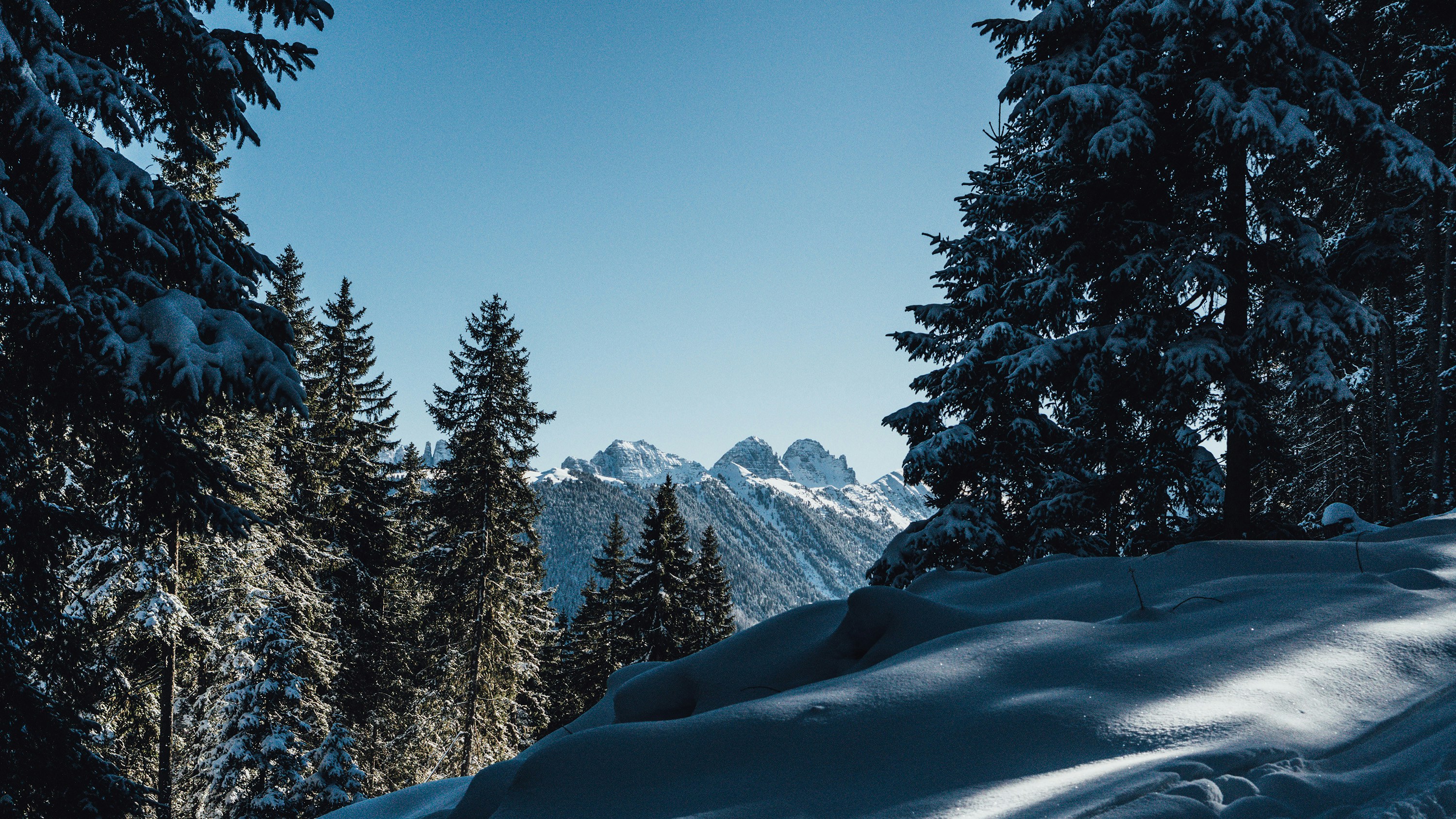 Snowy Winter Mountain Forest Landscape