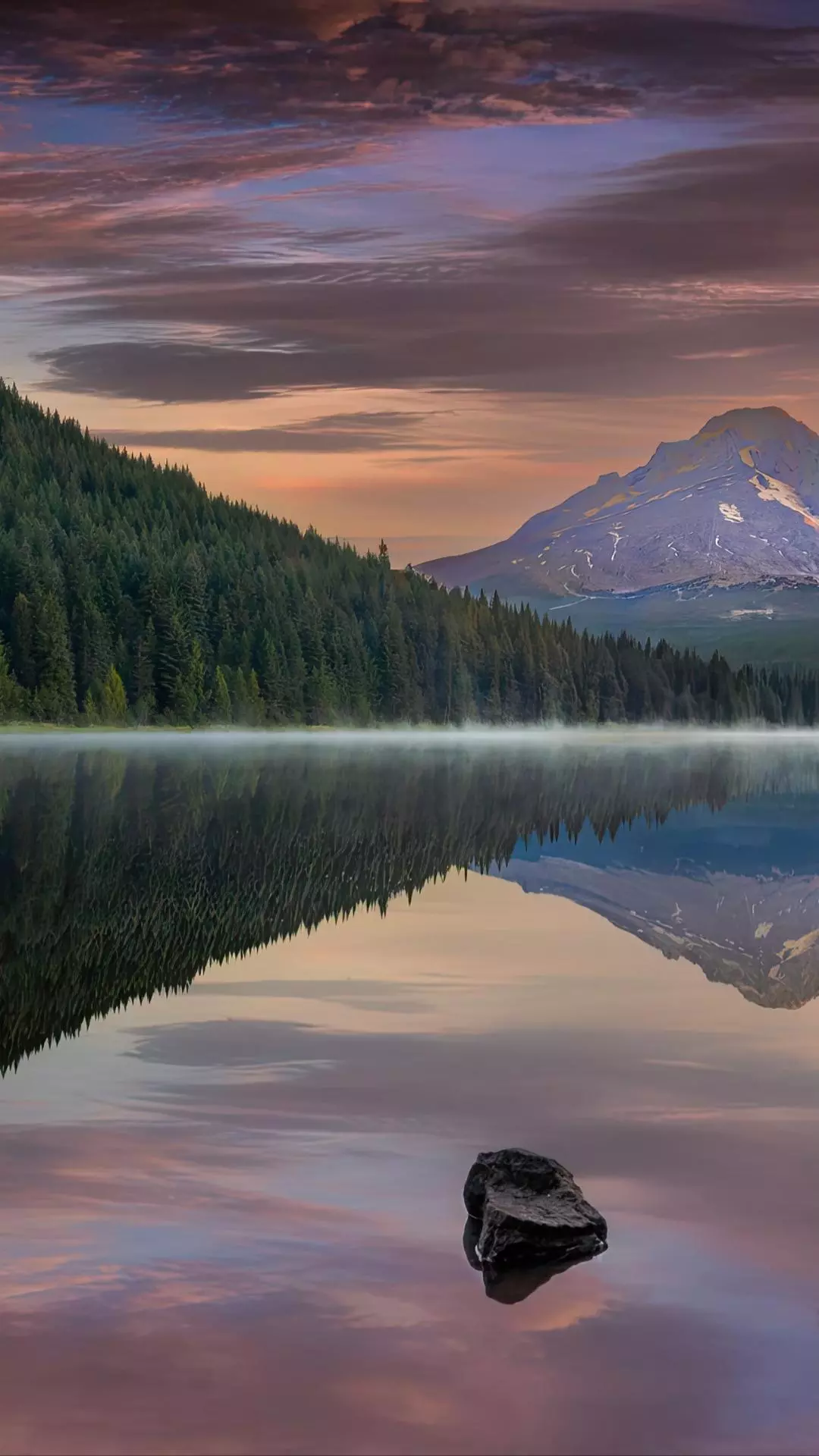 Landscapes